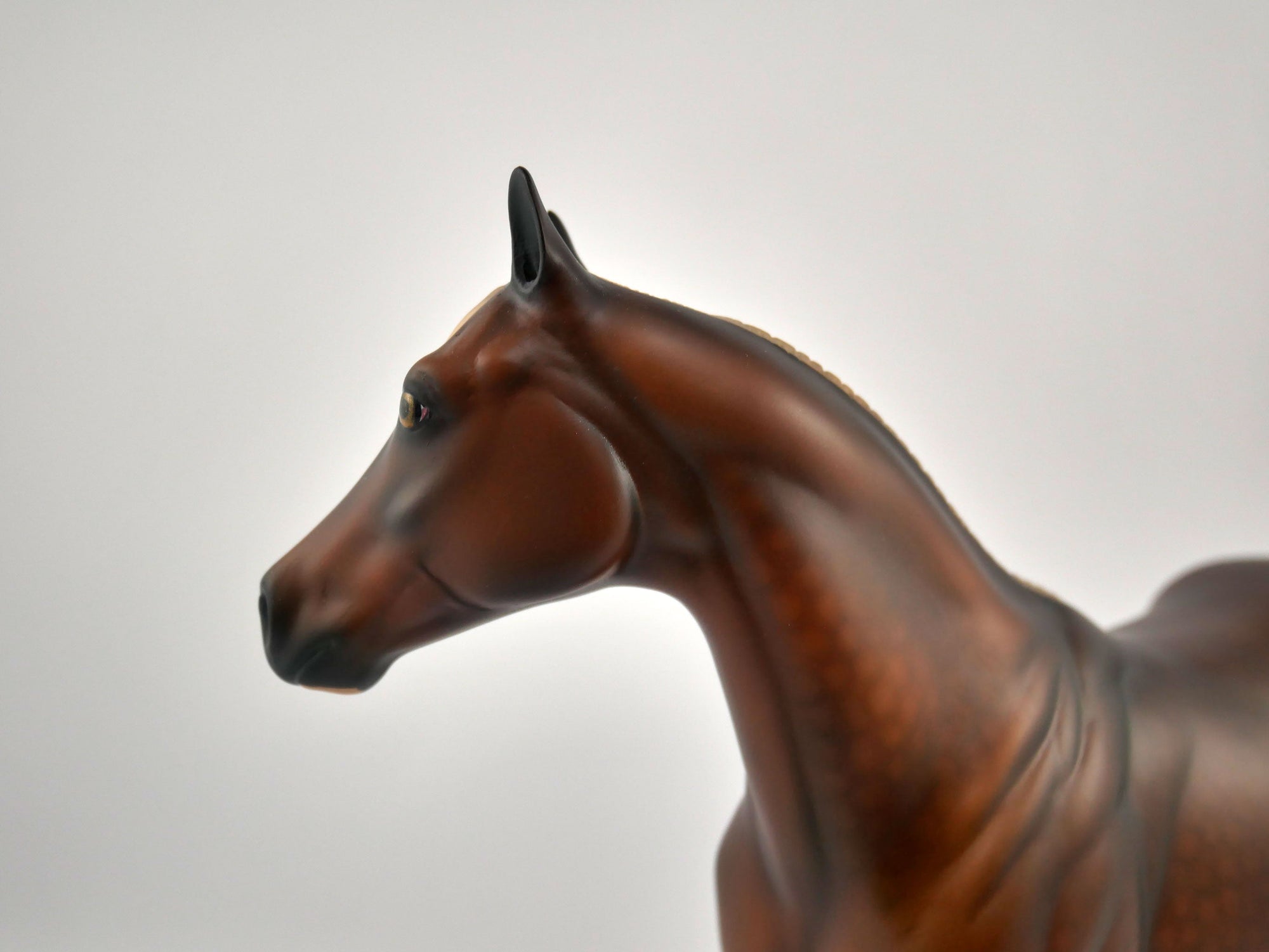 Bug A Boo-LE-15 Chestnut ISH MM 2020