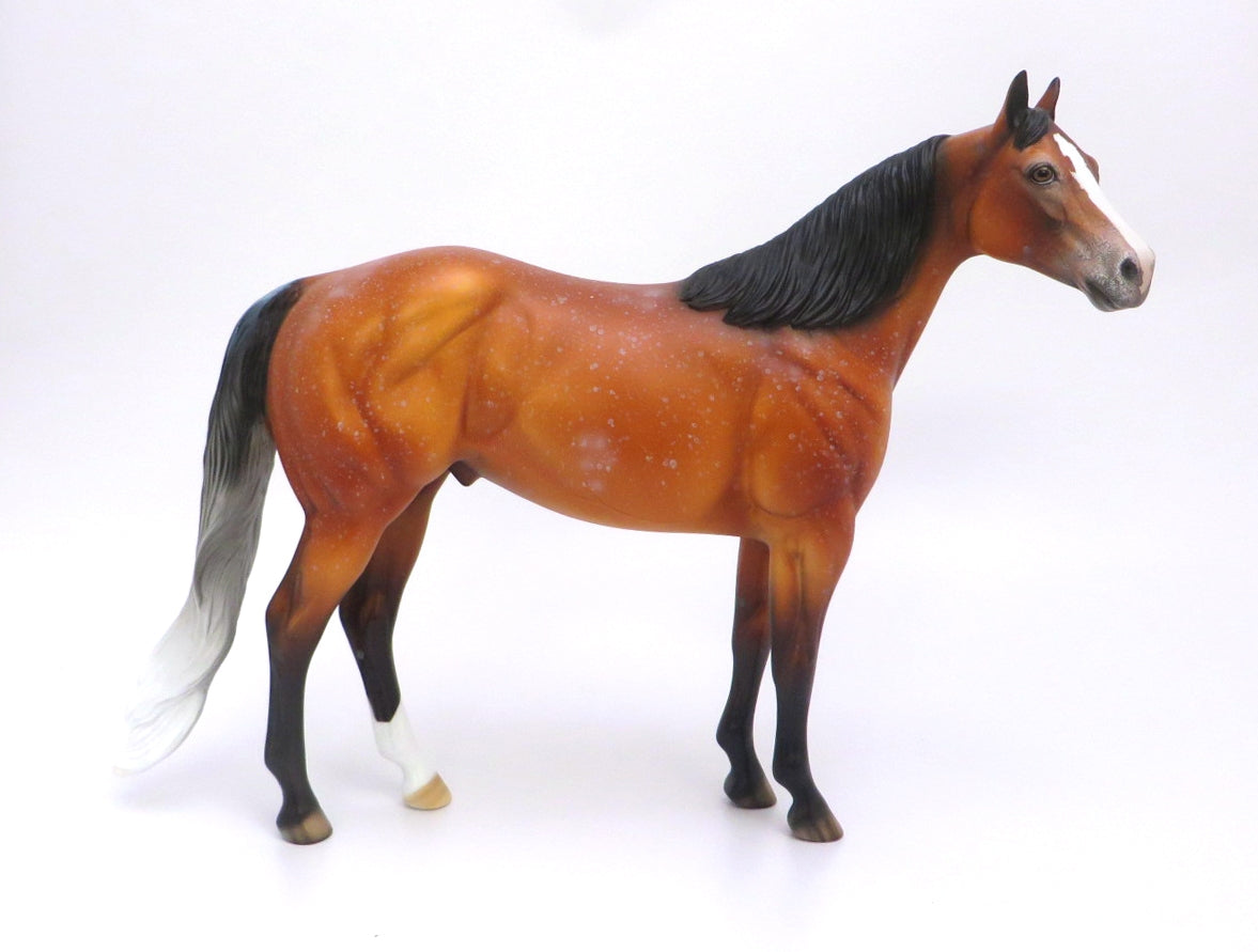 BUSCO-OOAK BAY ROAN ISH MODEL HORSE 2/27/20