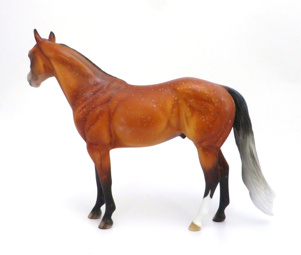 BUSCO-OOAK BAY ROAN ISH MODEL HORSE 2/27/20