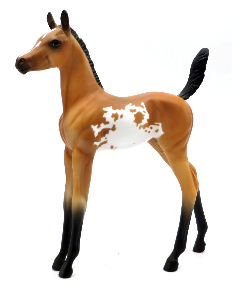 Butterum - OOAK Bay Sabino Foal - Holiday Sale 2021