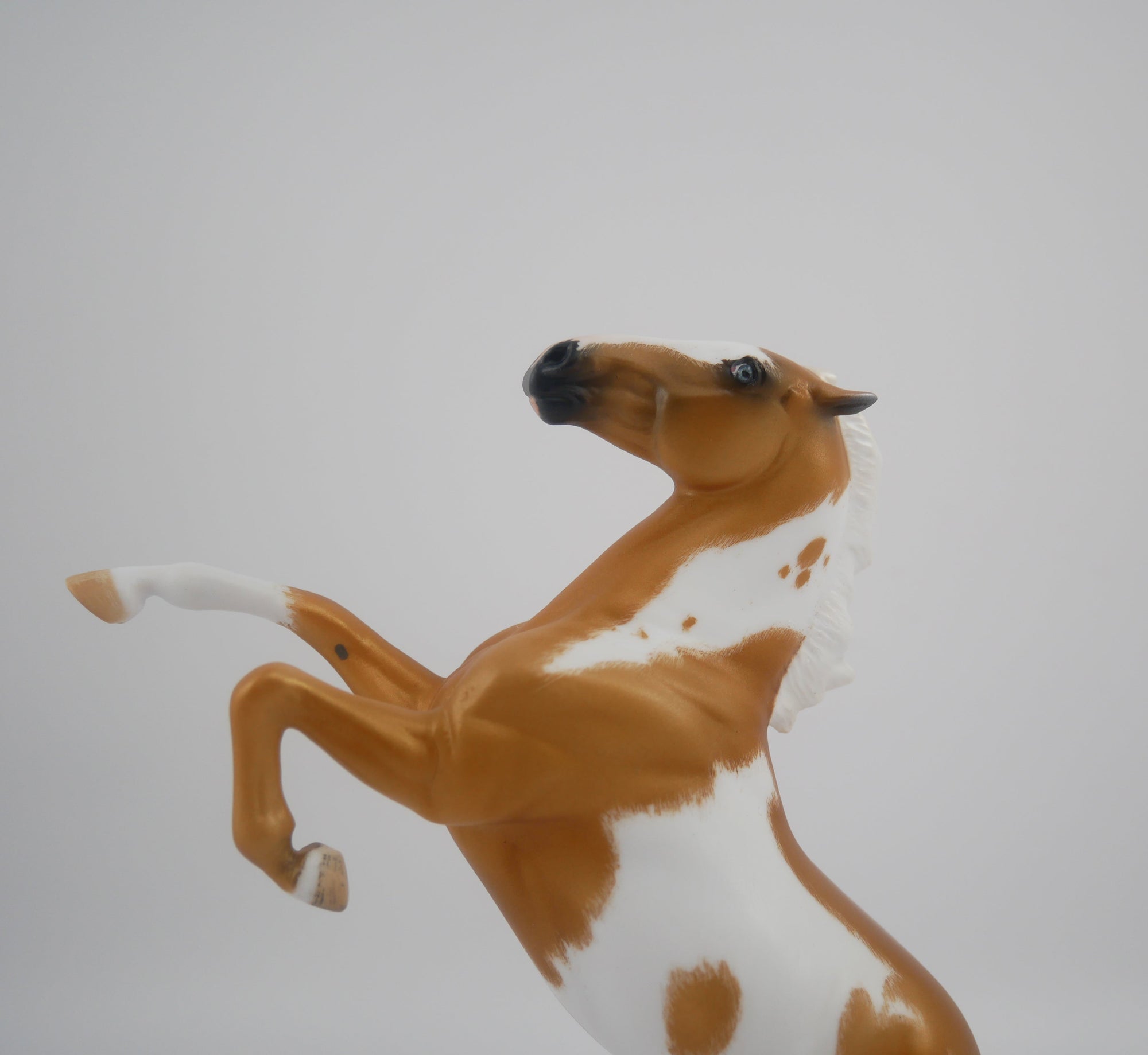 Buttons-OOAK Etched Pinto Palomino By Erika Miller 2020