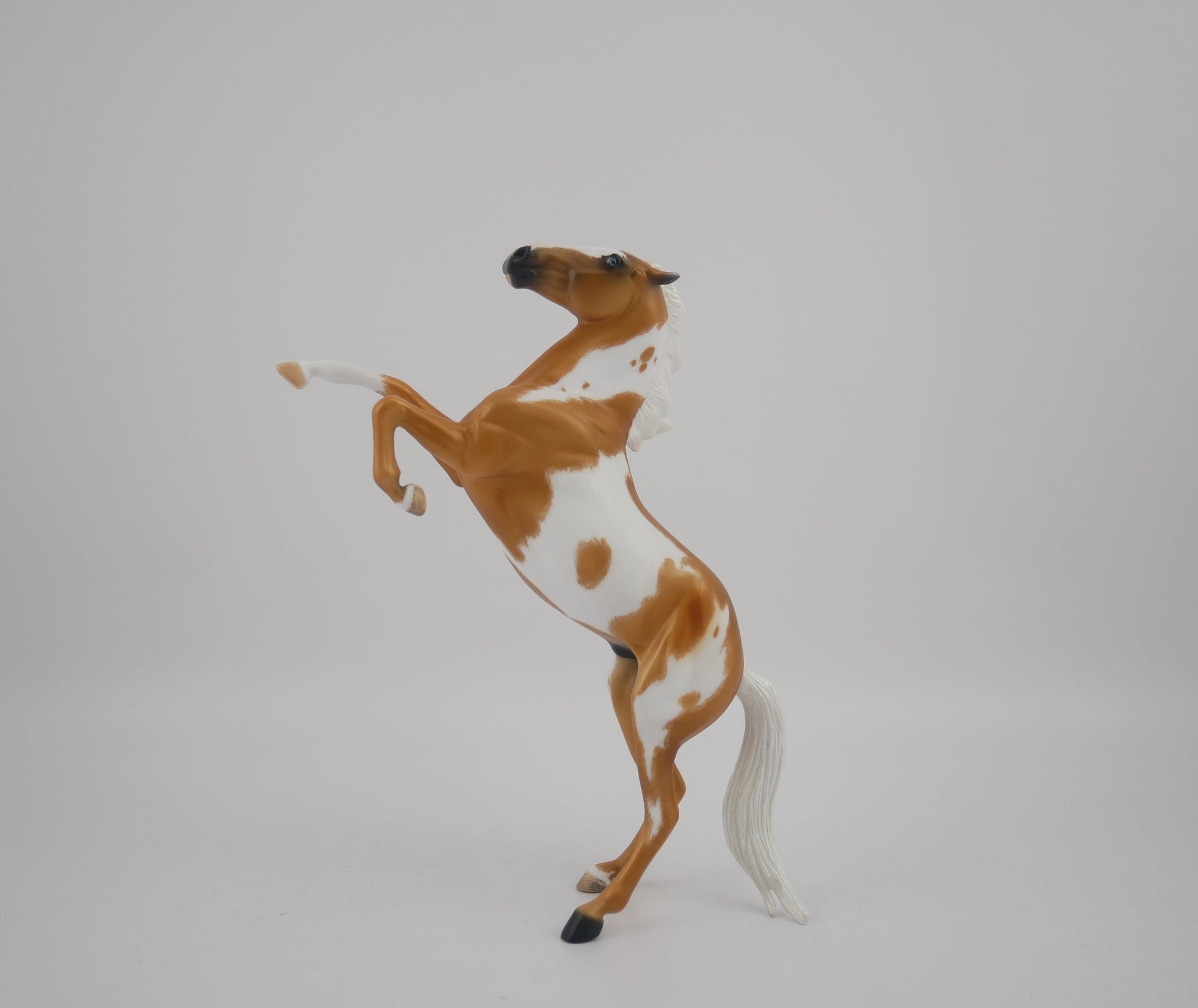 Buttons-OOAK Etched Pinto Palomino By Erika Miller 2020