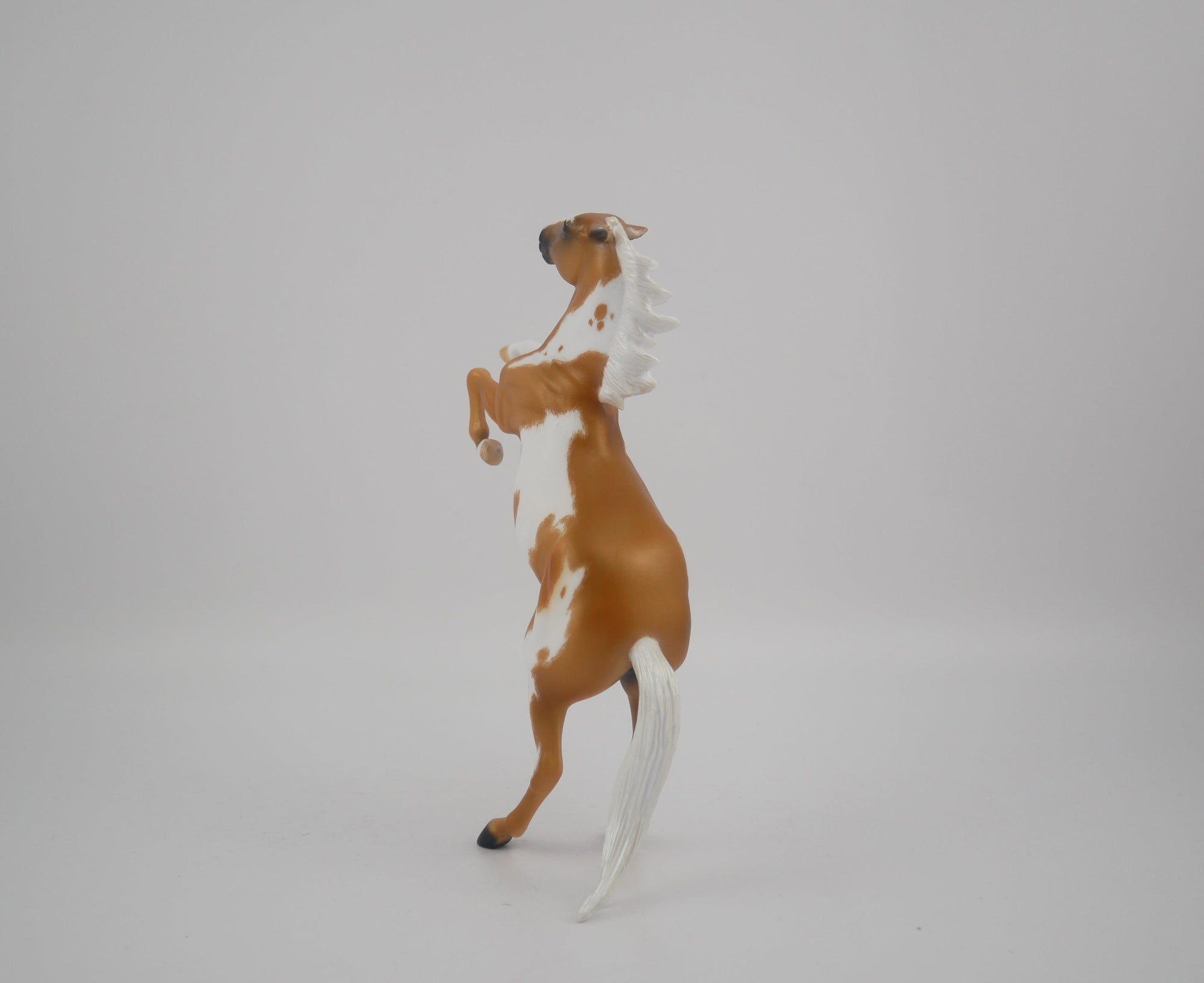 Buttons-OOAK Etched Pinto Palomino By Erika Miller 2020