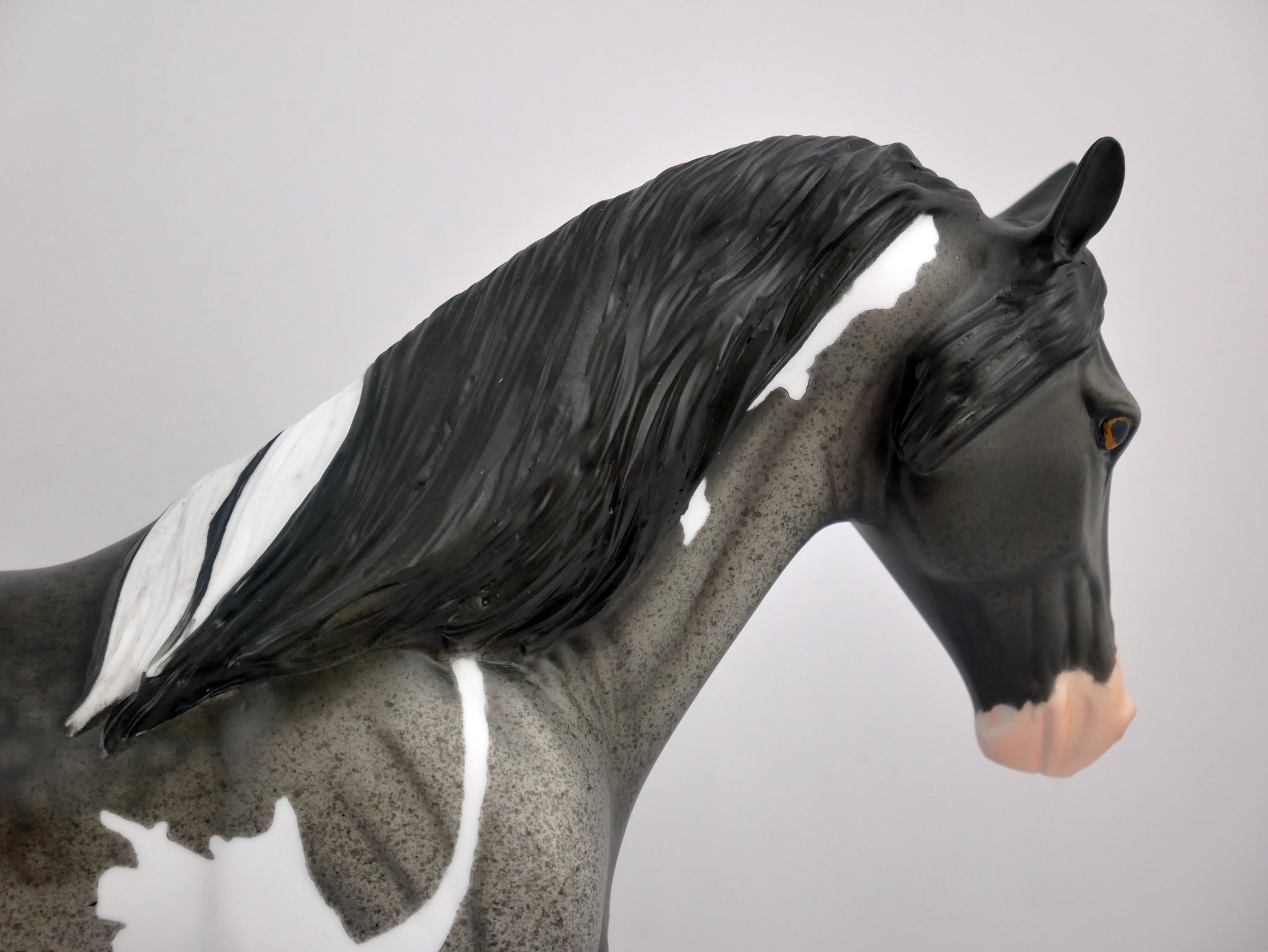 CADET-OOAK BLUE ROAN PINTO TWH BY DAWN QUICK