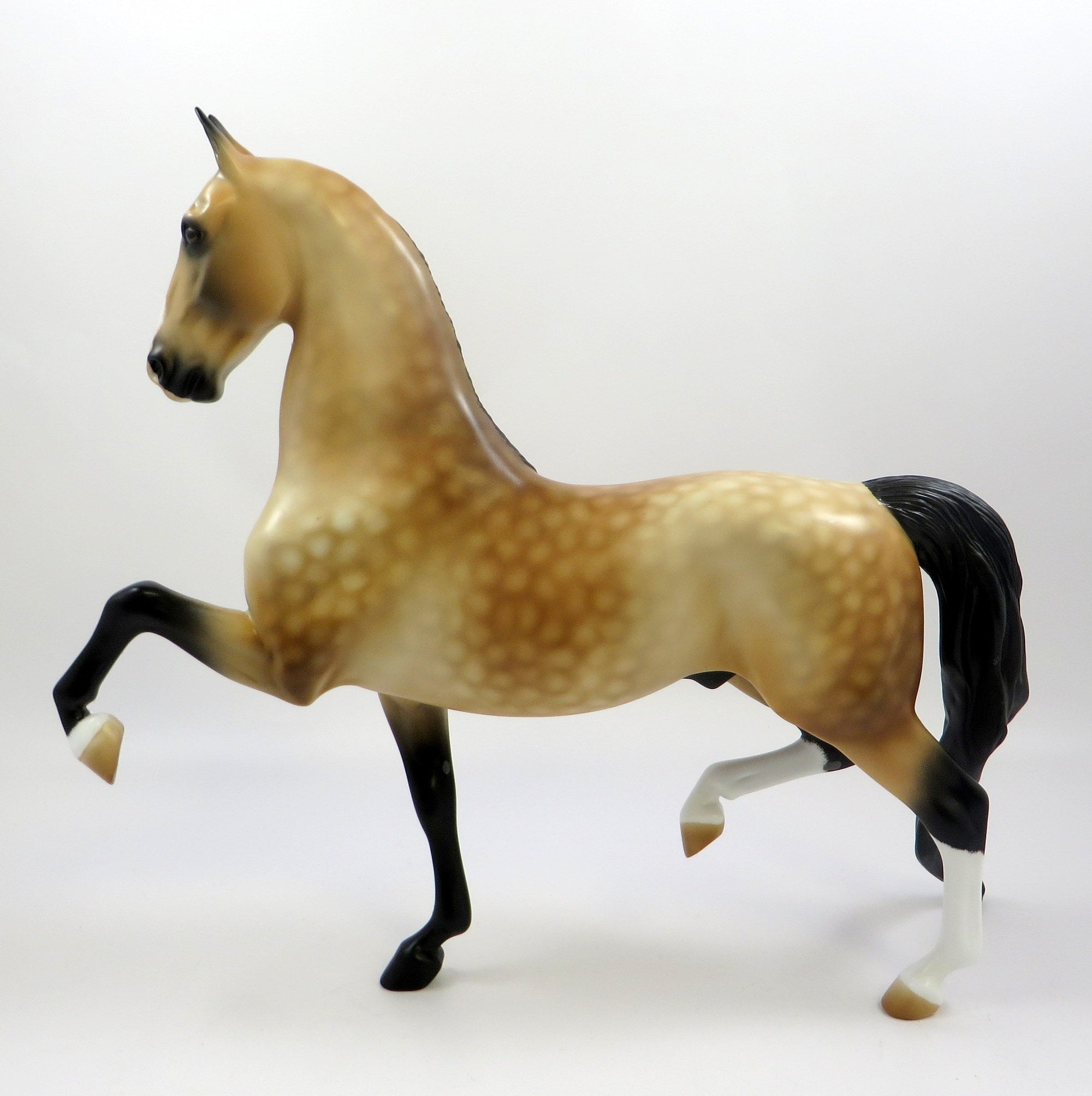 CAESAR - OOAK DAPPLED BUCKSKIN SADDLEBRED BY AUDREY DIXON EQ19