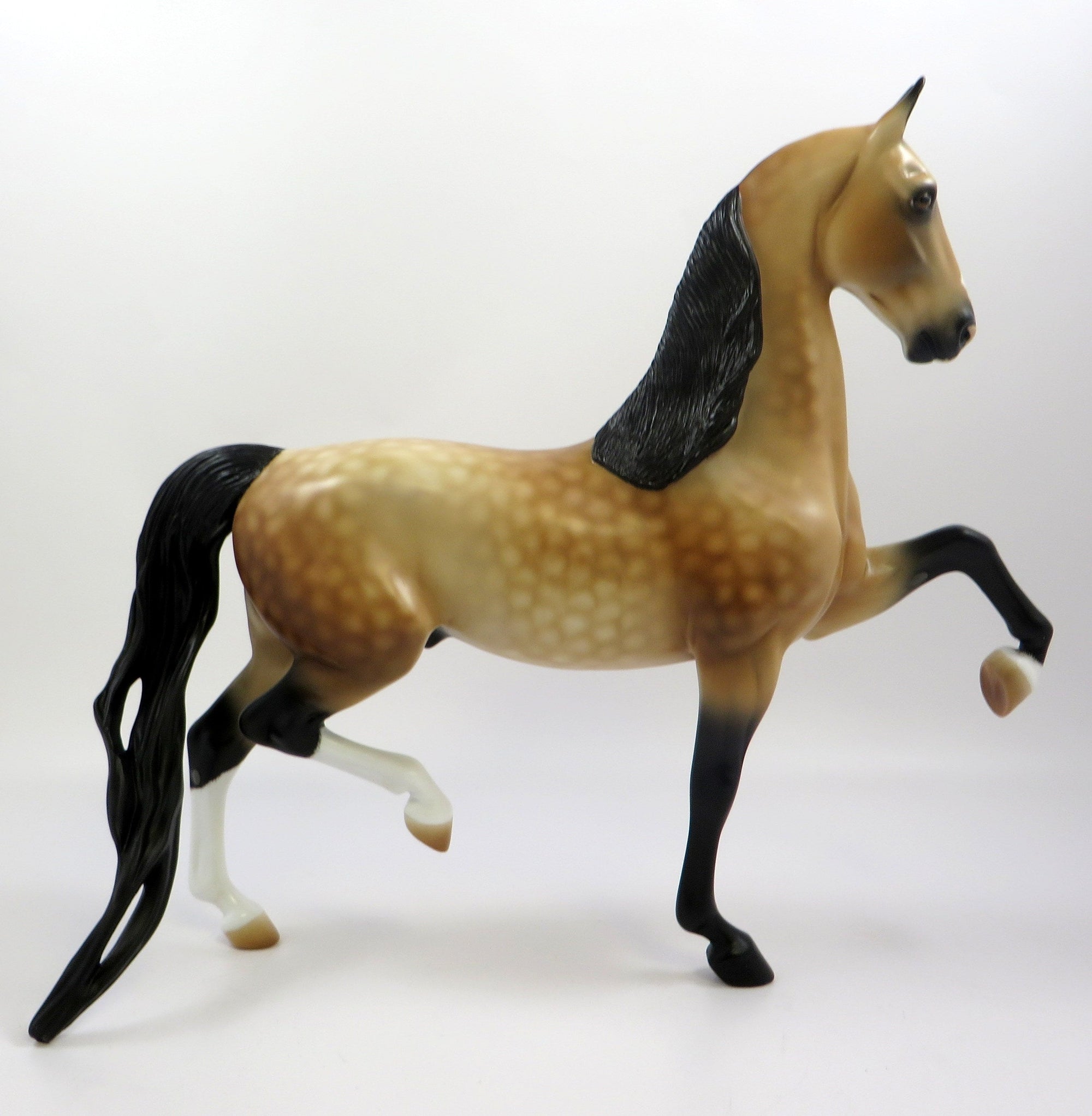 CAESAR - OOAK DAPPLED BUCKSKIN SADDLEBRED BY AUDREY DIXON EQ19