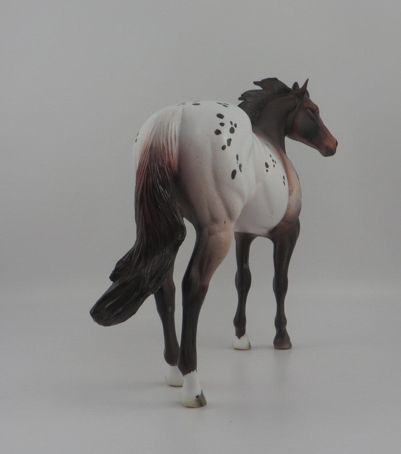 Camaleu-OOAK Appaloosa ISH EQ 2020