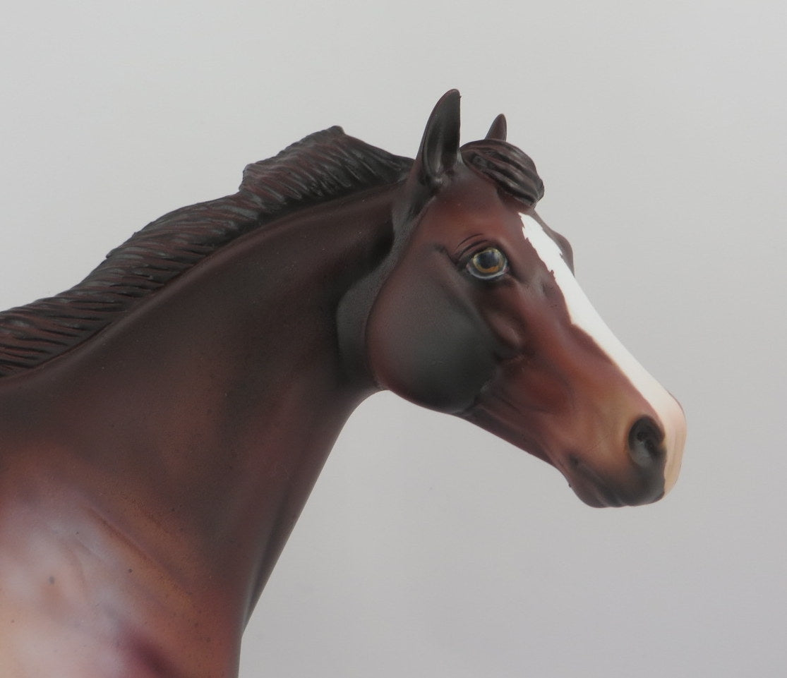 Camaleu-OOAK Appaloosa ISH EQ 2020