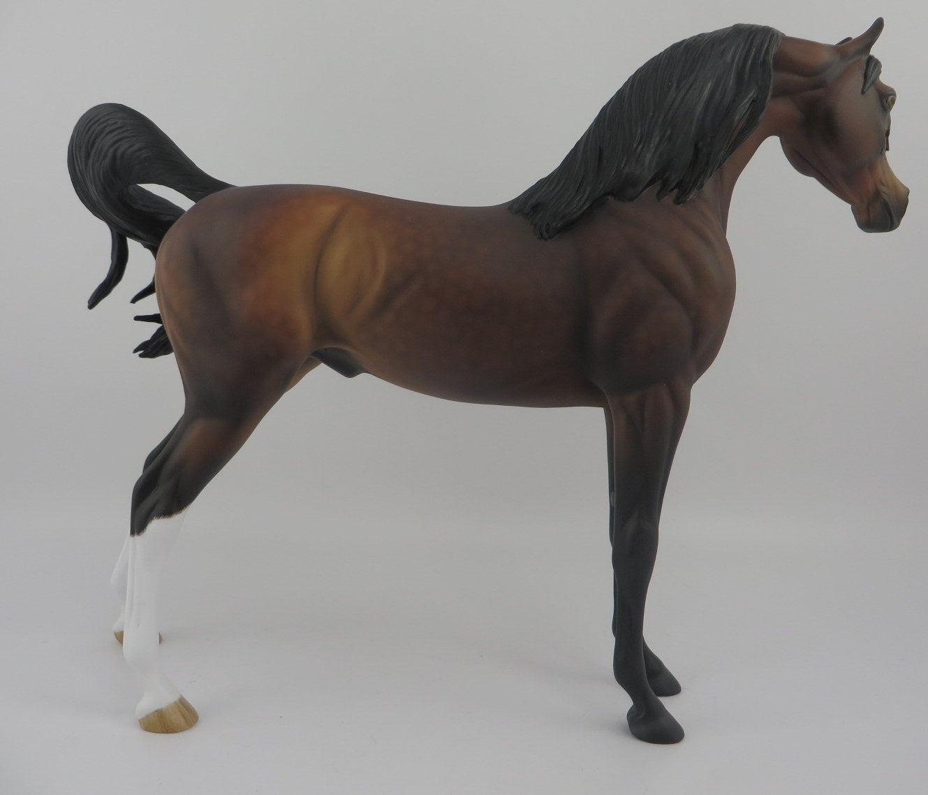 CASEIN-OOAK DAPPLE BAY ARABIAN MODEL HORSE EQ 2020