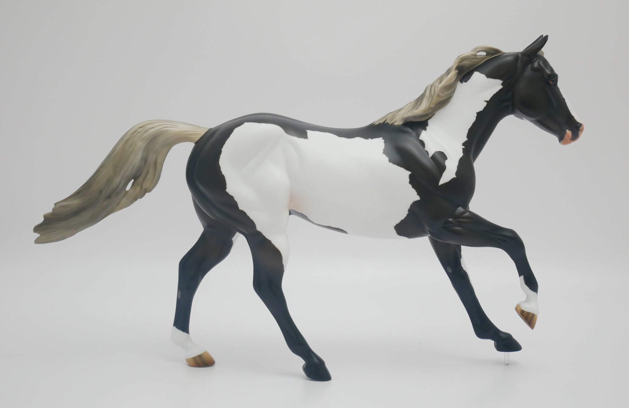 CASTLE ROCK - OOAK BLUE TAFFY PINTO FOUNDATION QUARTER HORSE BY AUDREY DIXON 3/16/20