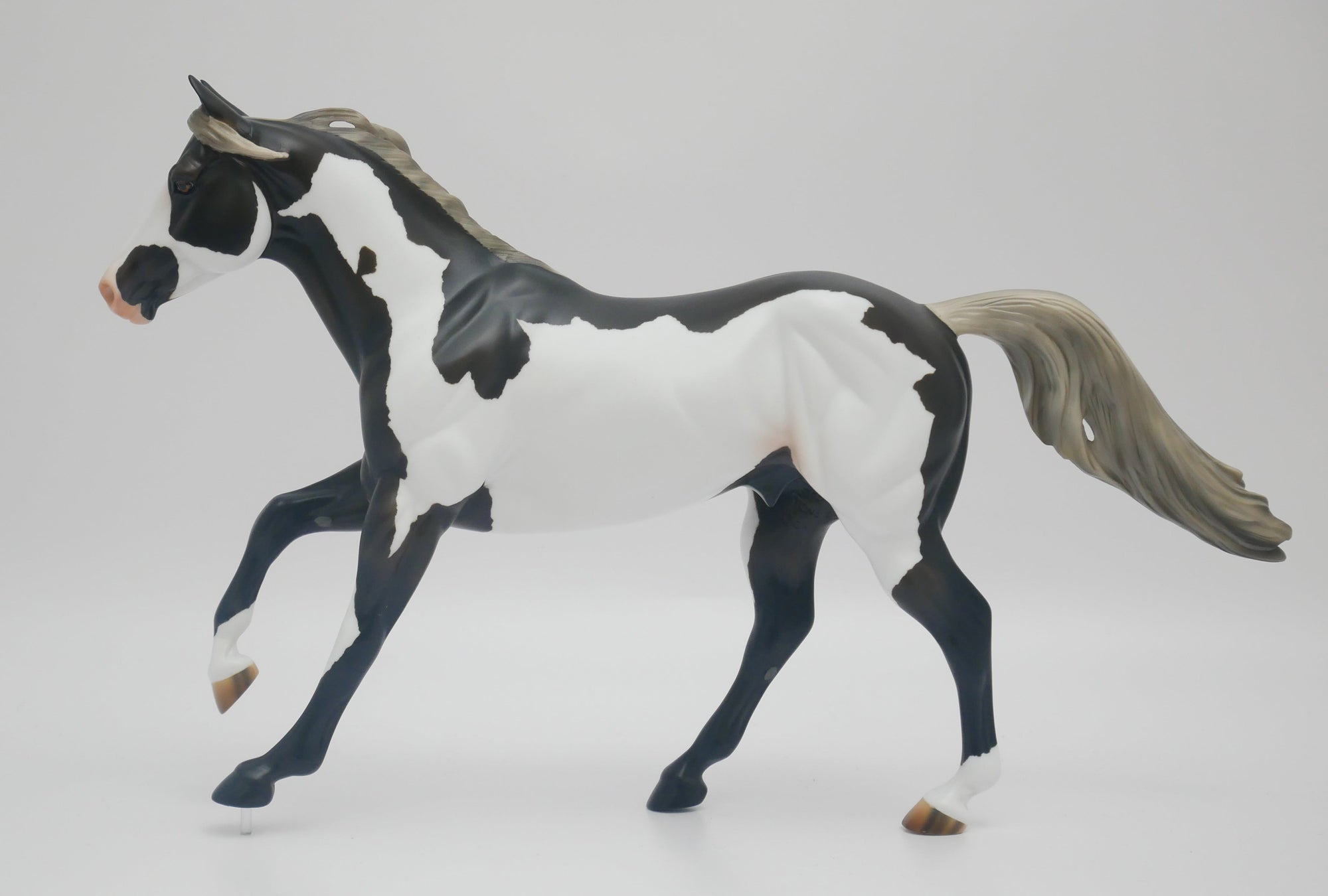 CASTLE ROCK - OOAK BLUE TAFFY PINTO FOUNDATION QUARTER HORSE BY AUDREY DIXON 3/16/20