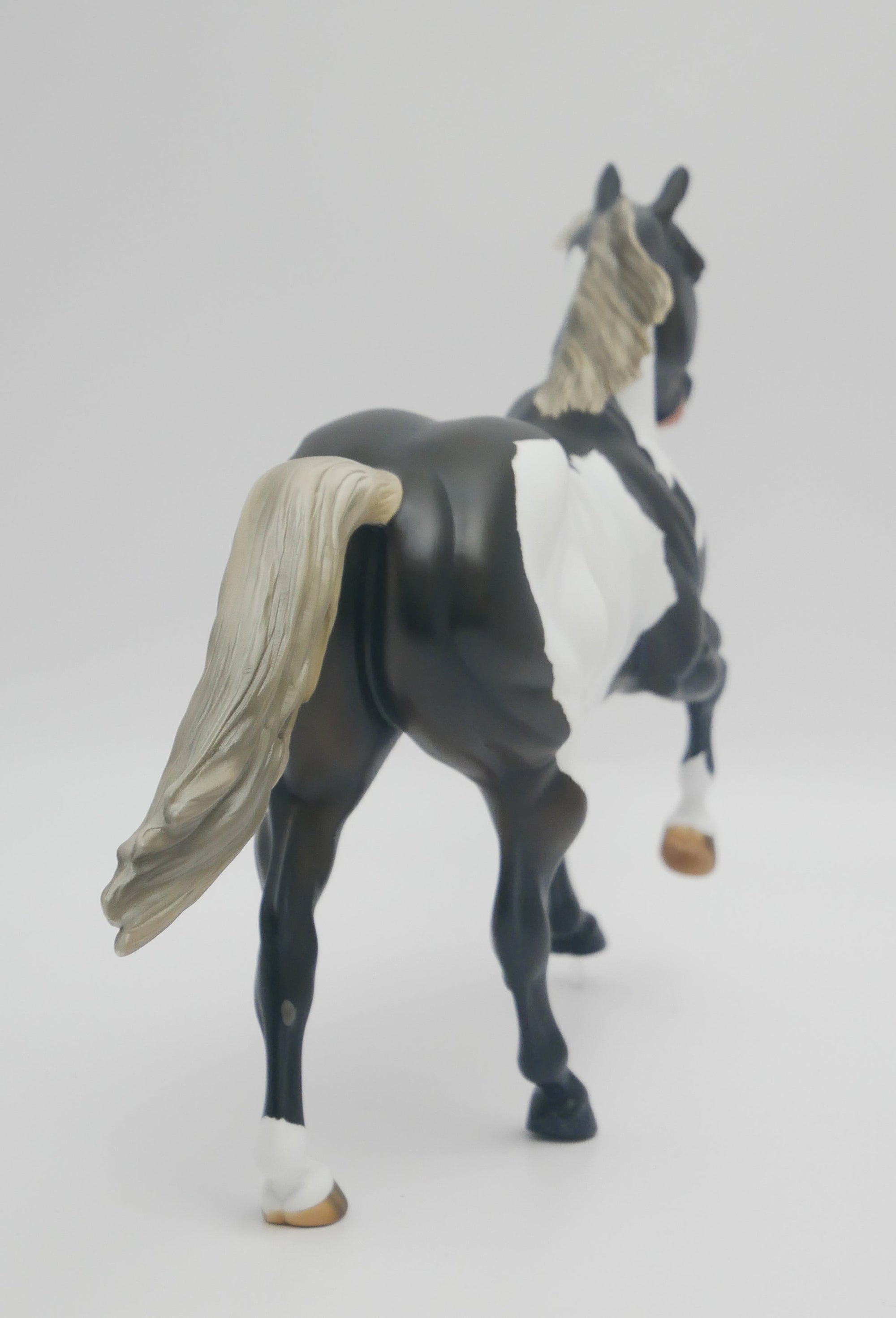 CASTLE ROCK - OOAK BLUE TAFFY PINTO FOUNDATION QUARTER HORSE BY AUDREY DIXON 3/16/20