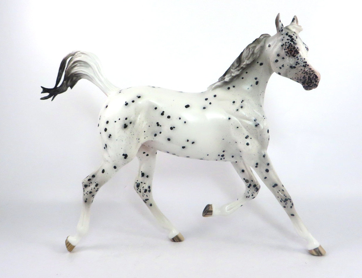 CATTY WAMPUS- OOAK BLACK LEOPARD APPALOOSA YEARLING MODEL HORSE BY SHERYL LEISURE 2/6/20