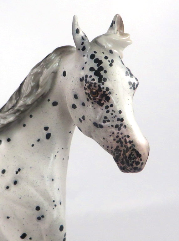 CATTY WAMPUS- OOAK BLACK LEOPARD APPALOOSA YEARLING MODEL HORSE BY SHERYL LEISURE 2/6/20