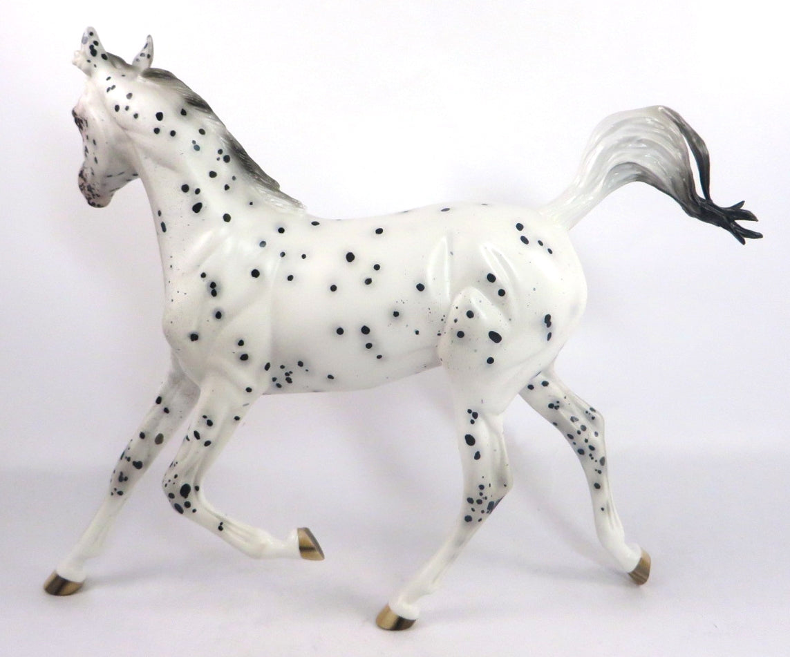 CATTY WAMPUS- OOAK BLACK LEOPARD APPALOOSA YEARLING MODEL HORSE BY SHERYL LEISURE 2/6/20