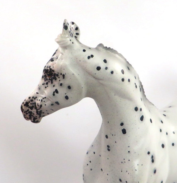 CATTY WAMPUS- OOAK BLACK LEOPARD APPALOOSA YEARLING MODEL HORSE BY SHERYL LEISURE 2/6/20