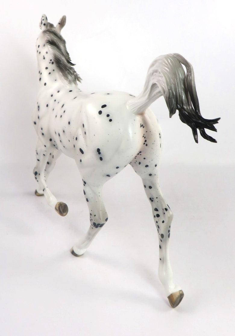 CATTY WAMPUS- OOAK BLACK LEOPARD APPALOOSA YEARLING MODEL HORSE BY SHERYL LEISURE 2/6/20