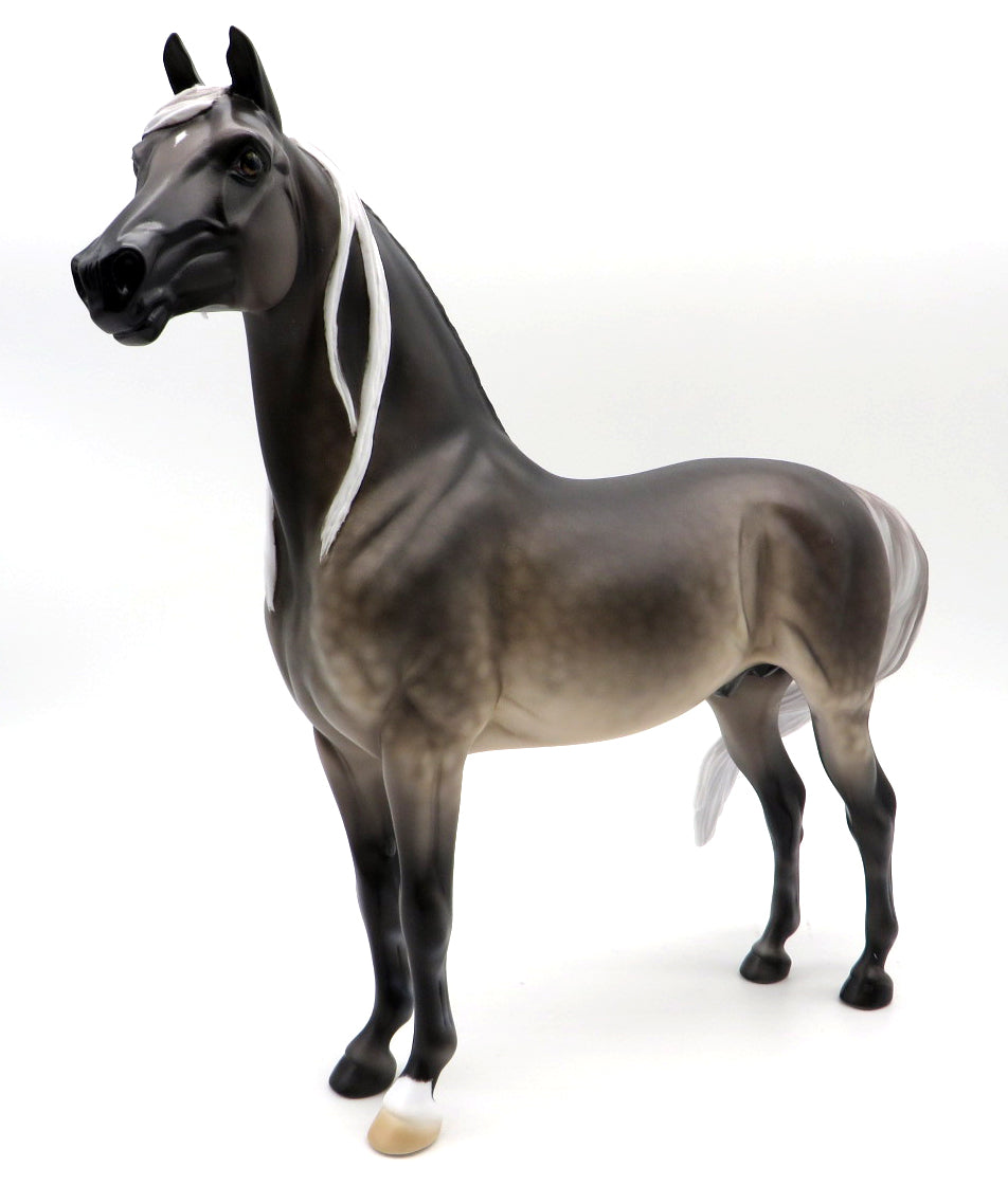 Celestial Alignment- OOAK Silver Buckskin Morgan Painted By Ellen MM 21