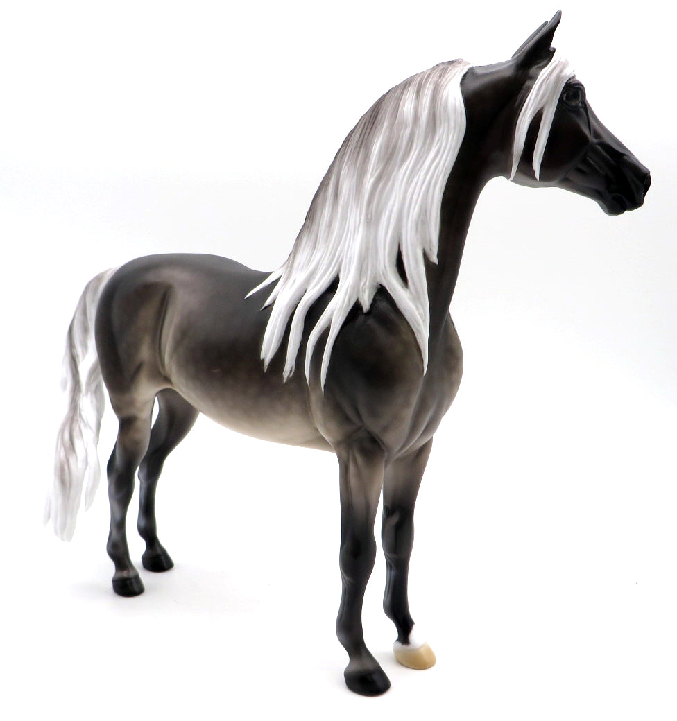 Celestial Alignment- OOAK Silver Buckskin Morgan Painted By Ellen MM 21