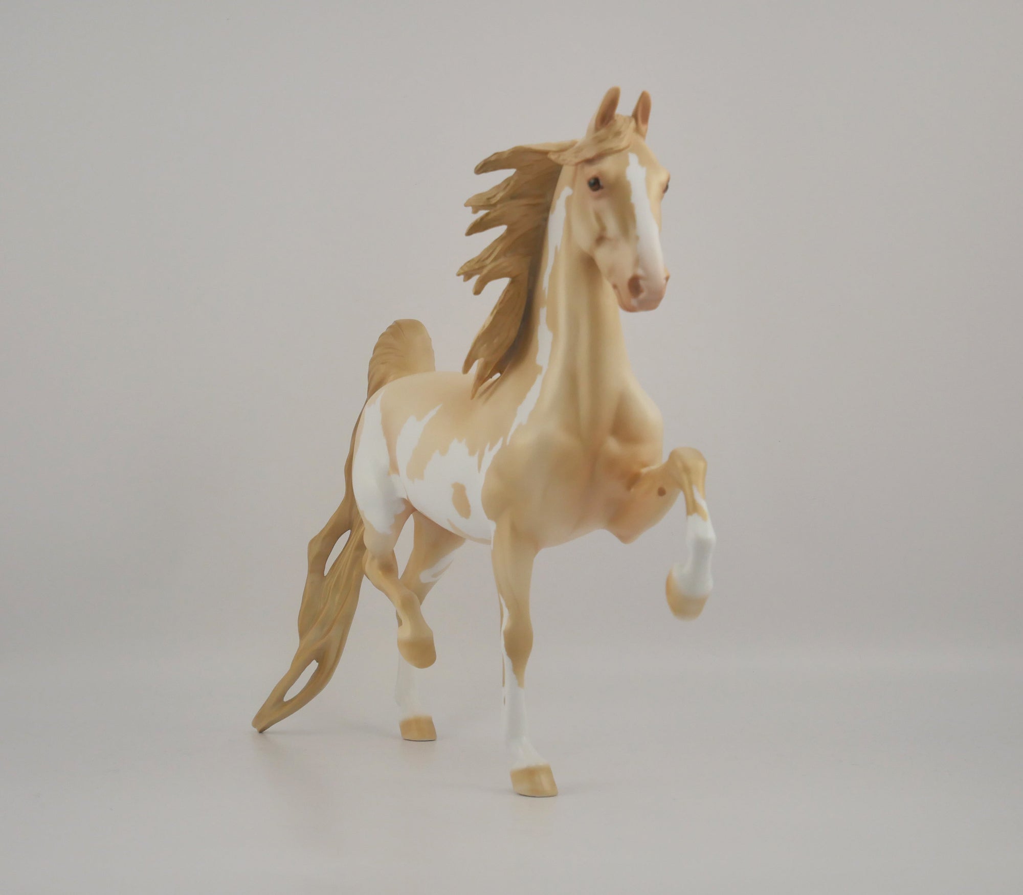 CHAMPAGNE-OOAK CHAMPAGNE PINTO SADDLEBRED BY DAWN QUICK