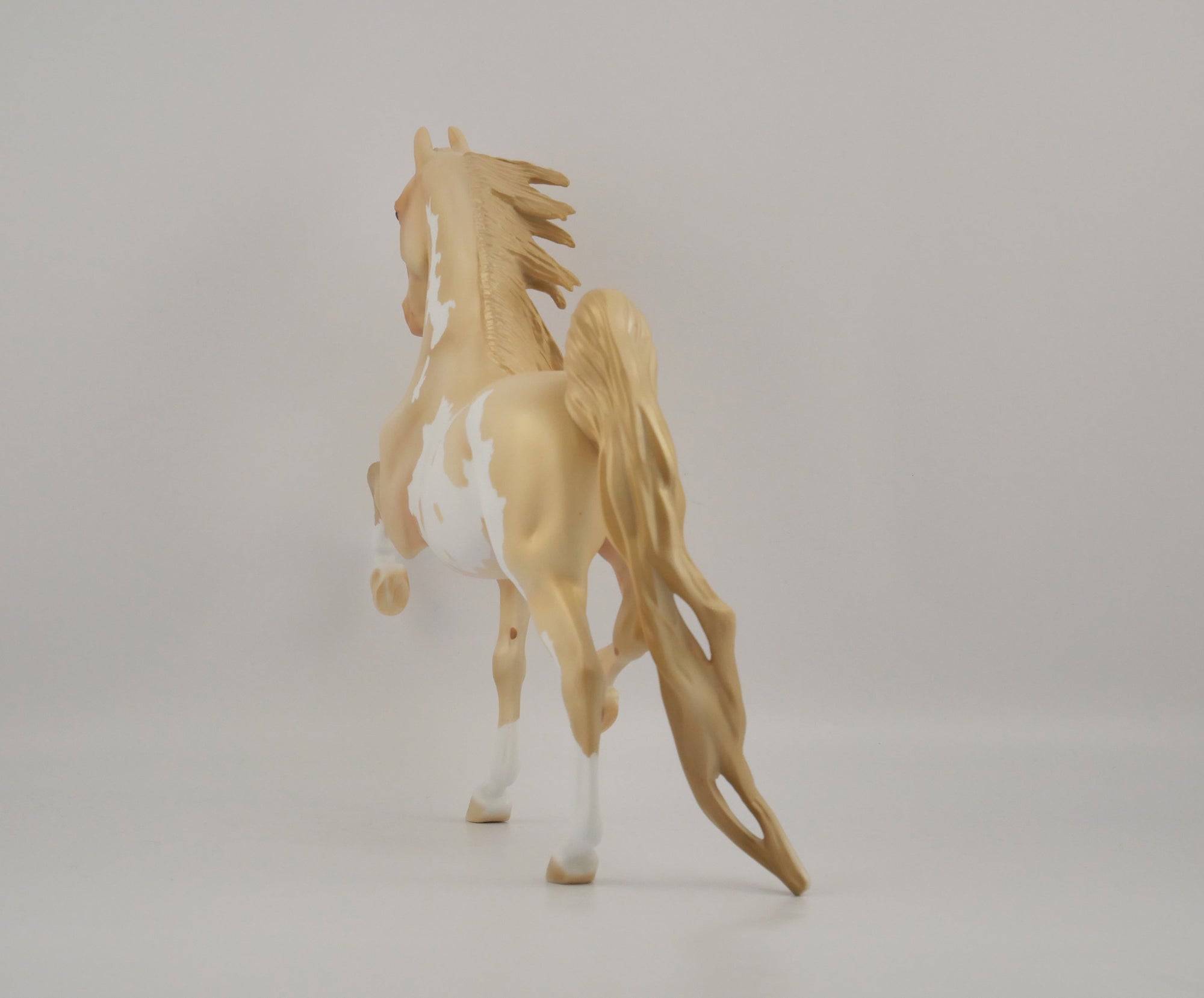 CHAMPAGNE-OOAK CHAMPAGNE PINTO SADDLEBRED BY DAWN QUICK