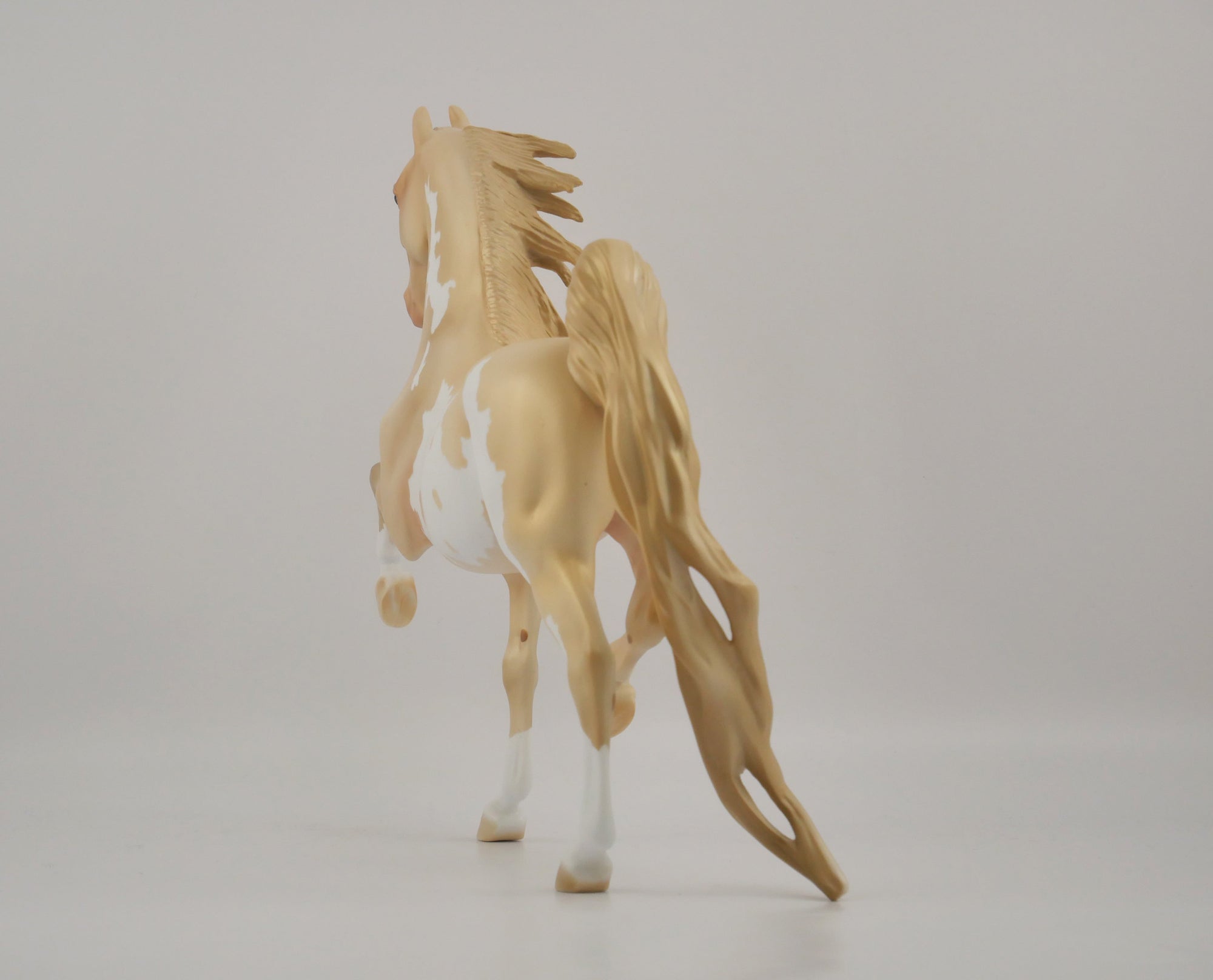 CHAMPAGNE-OOAK CHAMPAGNE PINTO SADDLEBRED BY DAWN QUICK