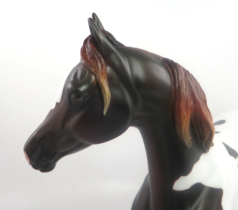 CHAR DO NEIGH -OOAK BAY PINTO ARABIAN MARE BY AUDREY DIXON SB20