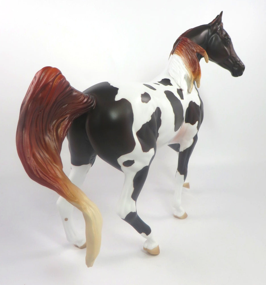 CHAR DO NEIGH -OOAK BAY PINTO ARABIAN MARE BY AUDREY DIXON SB20
