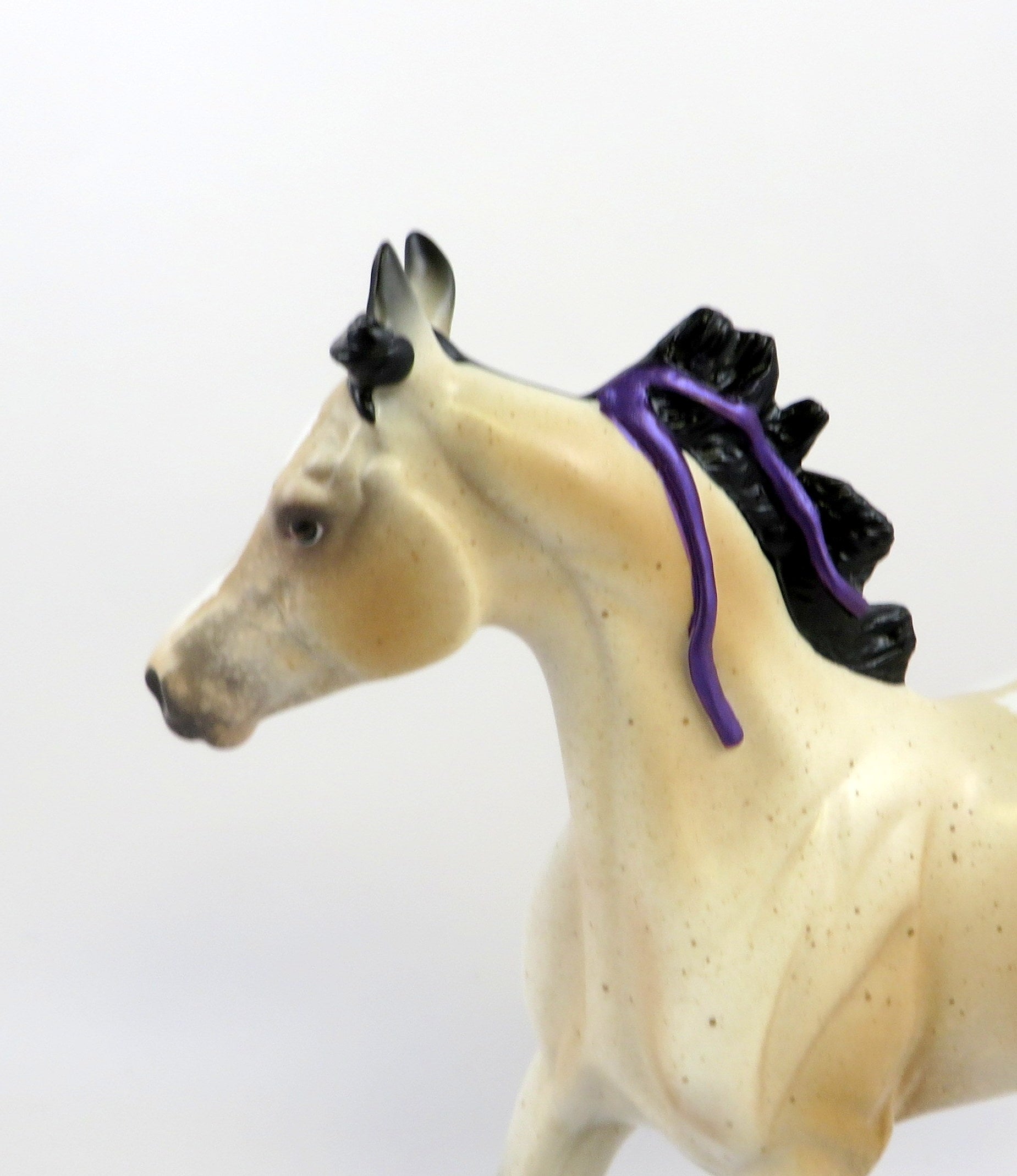 PRINCESS CHARLOTTE-LE-10 BUCKSKIN APPALOOSA YEARLING WITH PURPLE RIBBON EQ 19