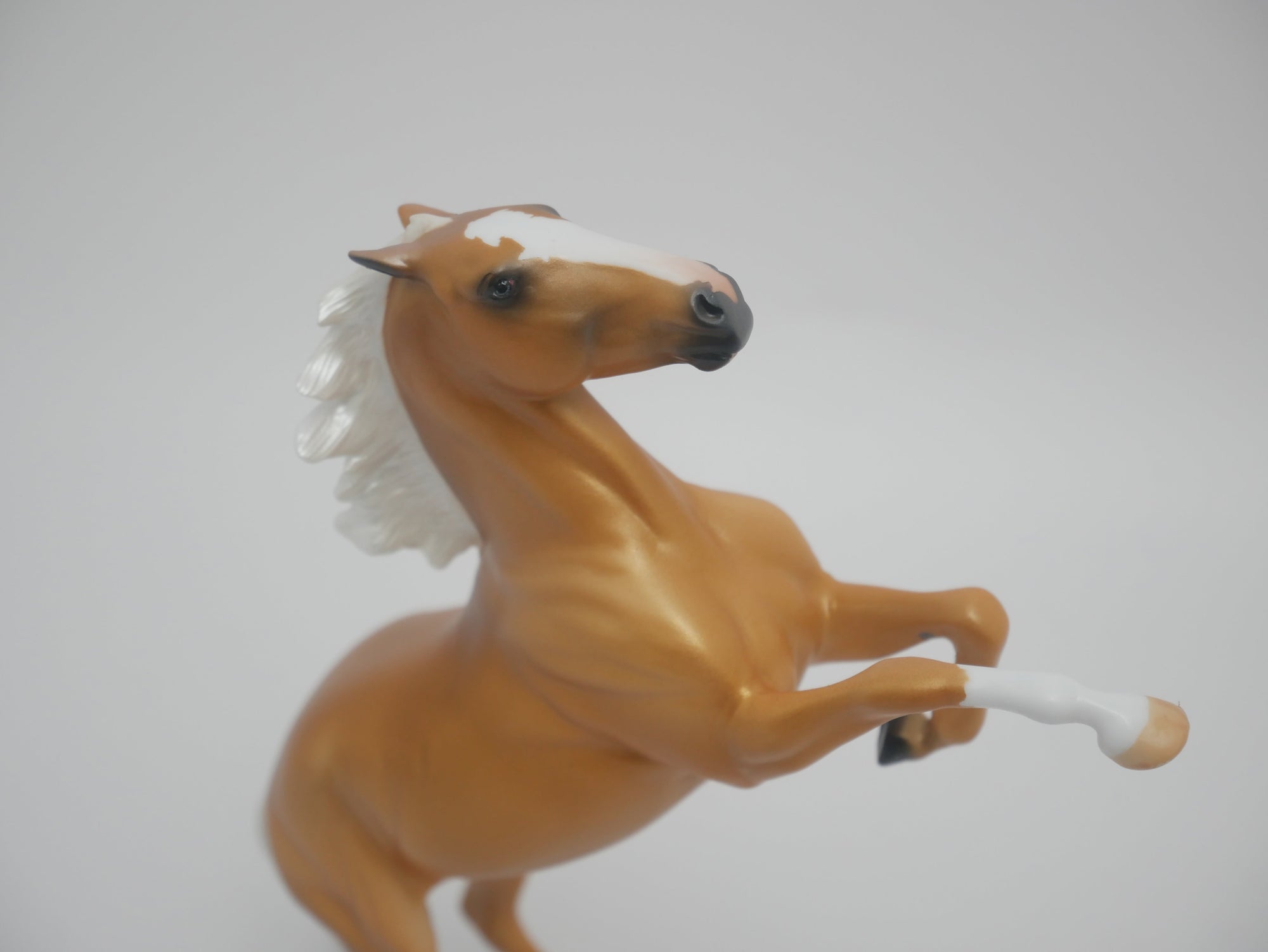 CHEESE HEAD LE-12 CUSTOM PALOMINO REARING PEBBLES 3/24/20