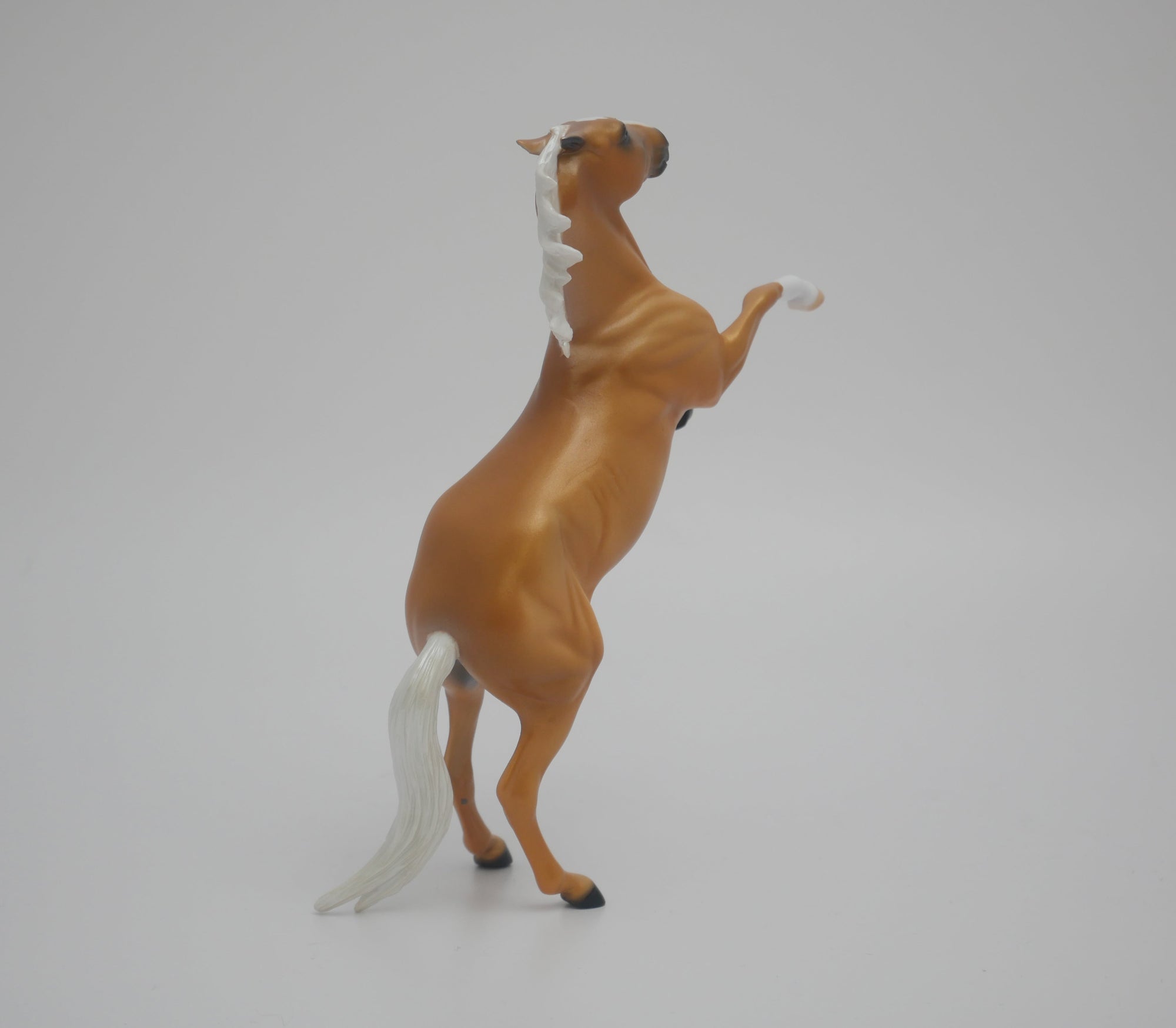 CHEESE HEAD LE-12 CUSTOM PALOMINO REARING PEBBLES 3/24/20