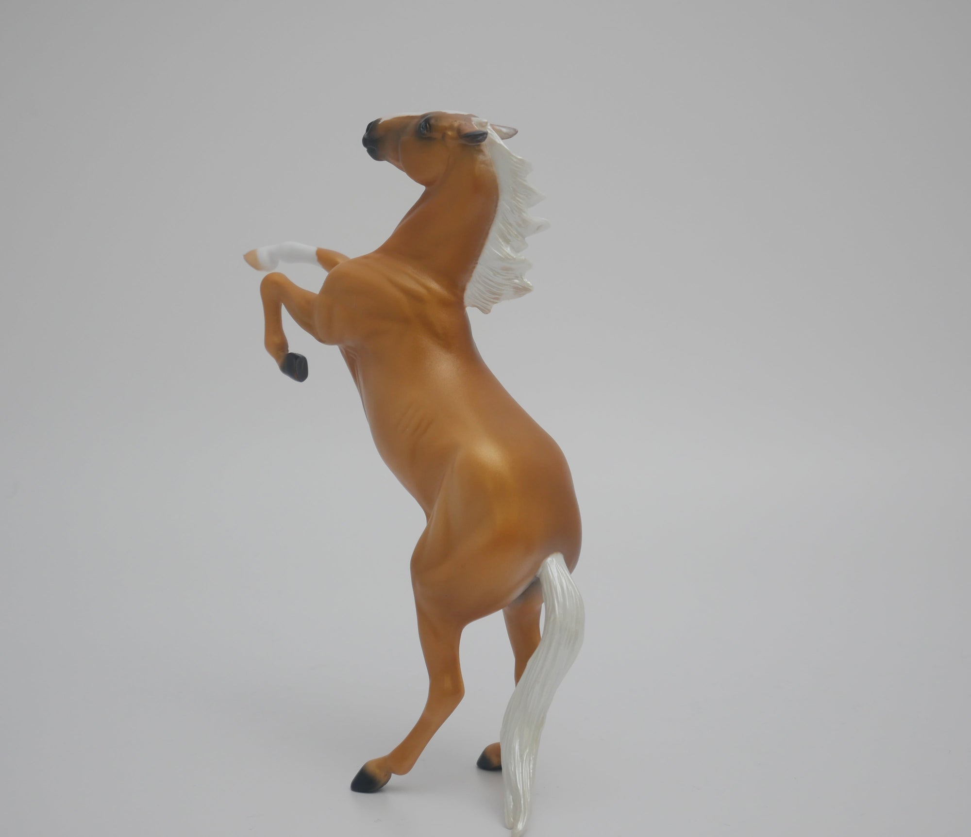 CHEESE HEAD LE-12 CUSTOM PALOMINO REARING PEBBLES 3/24/20