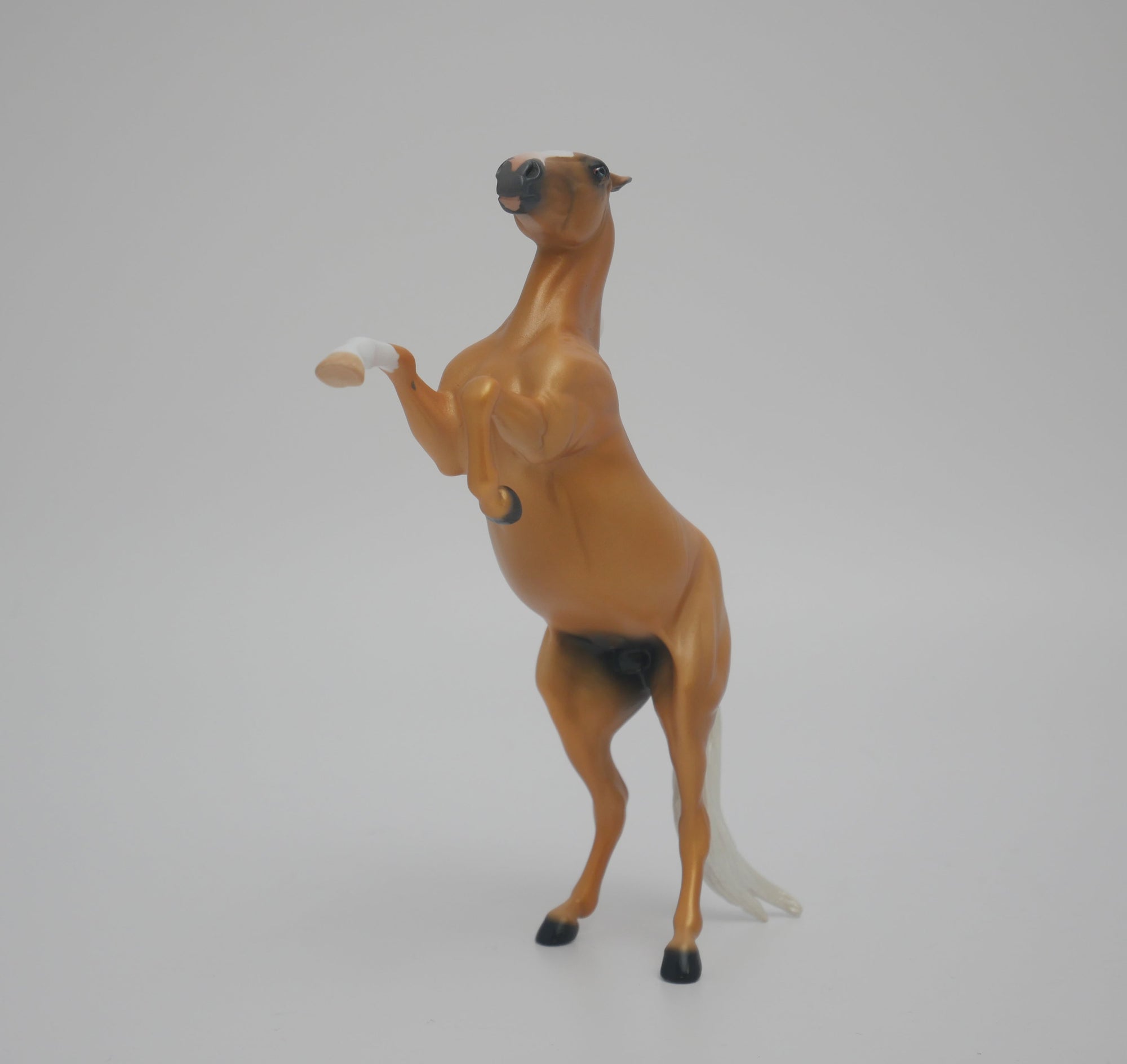 CHEESE HEAD LE-12 CUSTOM PALOMINO REARING PEBBLES 3/24/20