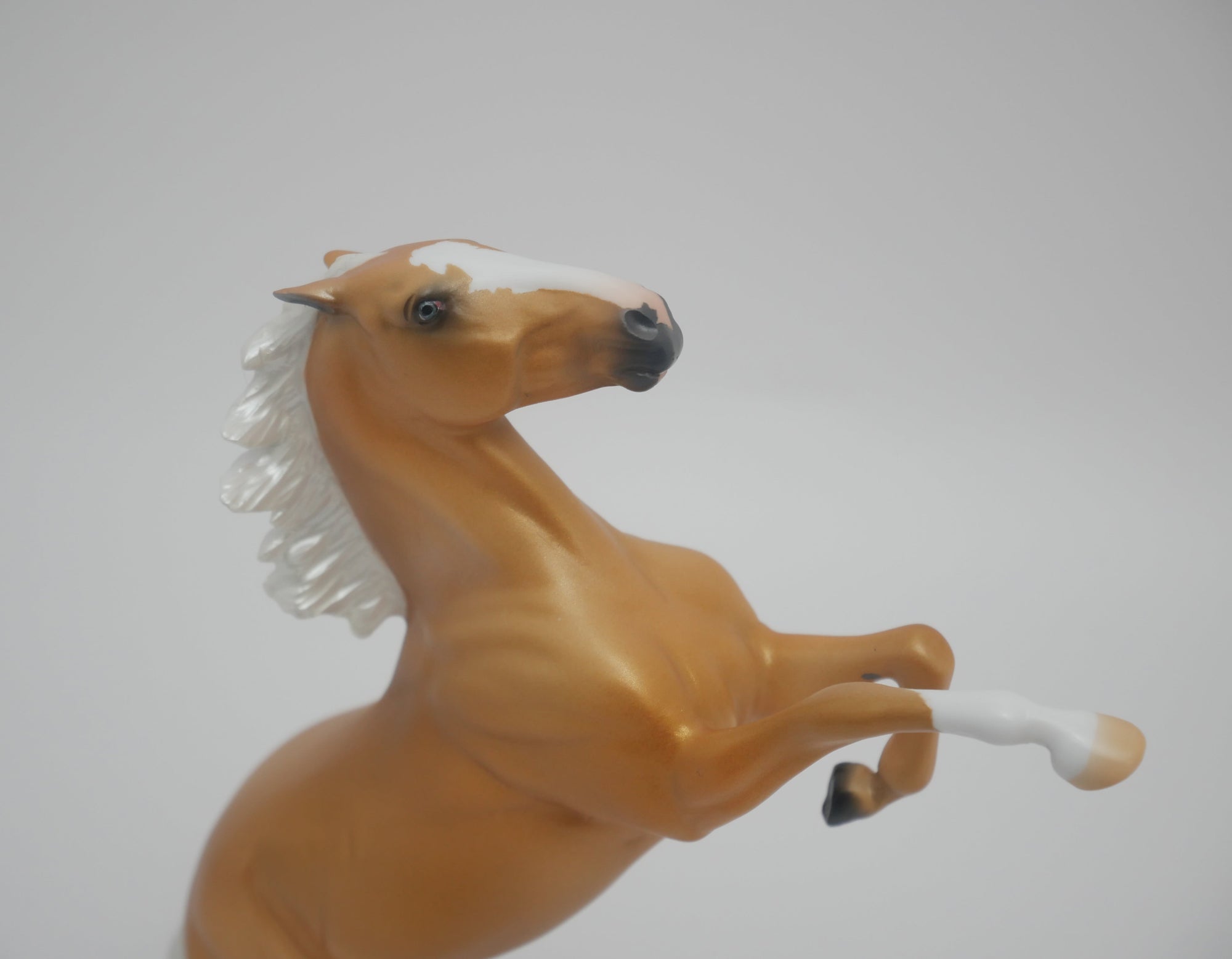 CHEESE HEAD LE-8 NON CUSTOM PALOMINO REARING PEBBLES 3/24/20