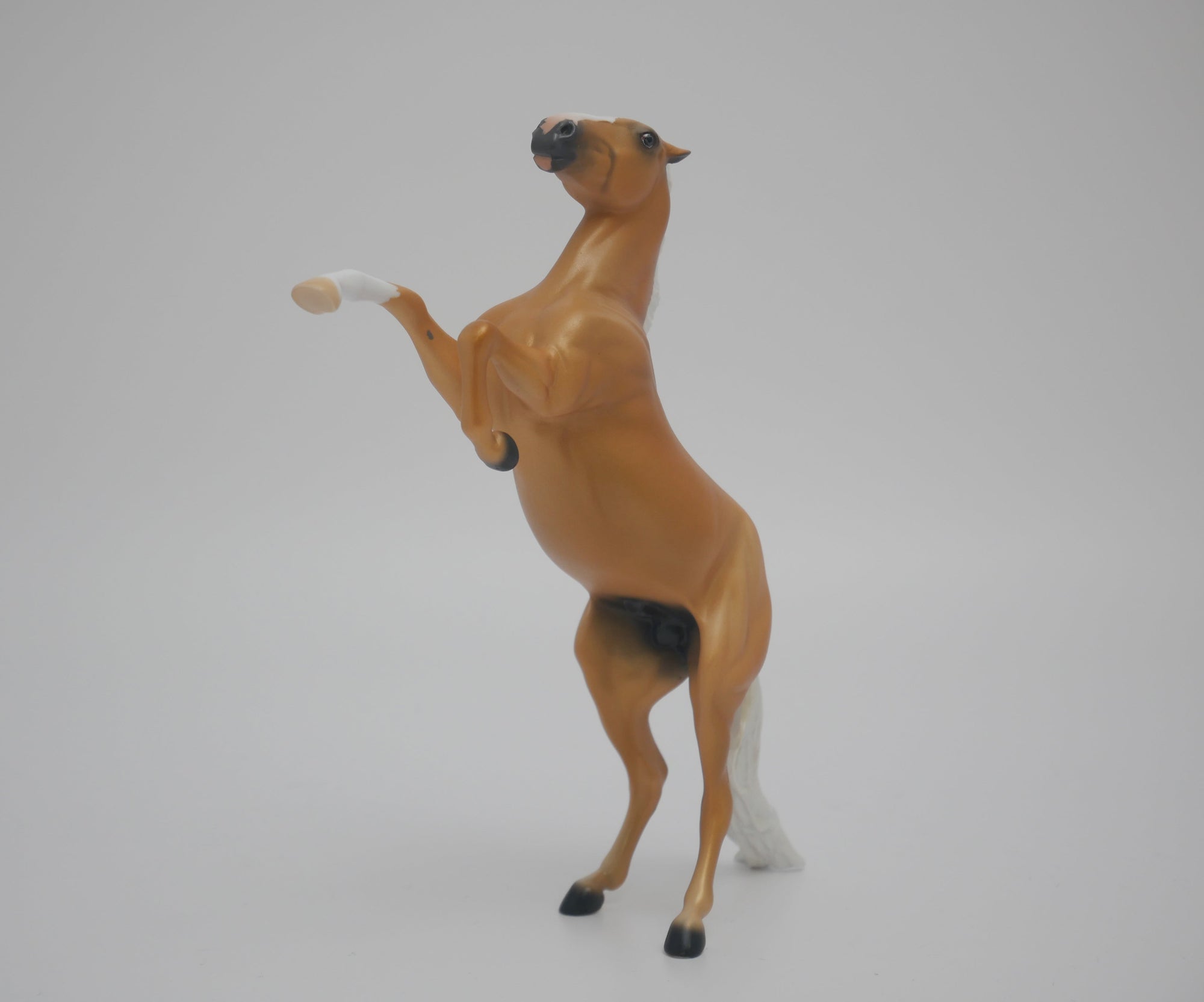 CHEESE HEAD LE-8 NON CUSTOM PALOMINO REARING PEBBLES 3/24/20