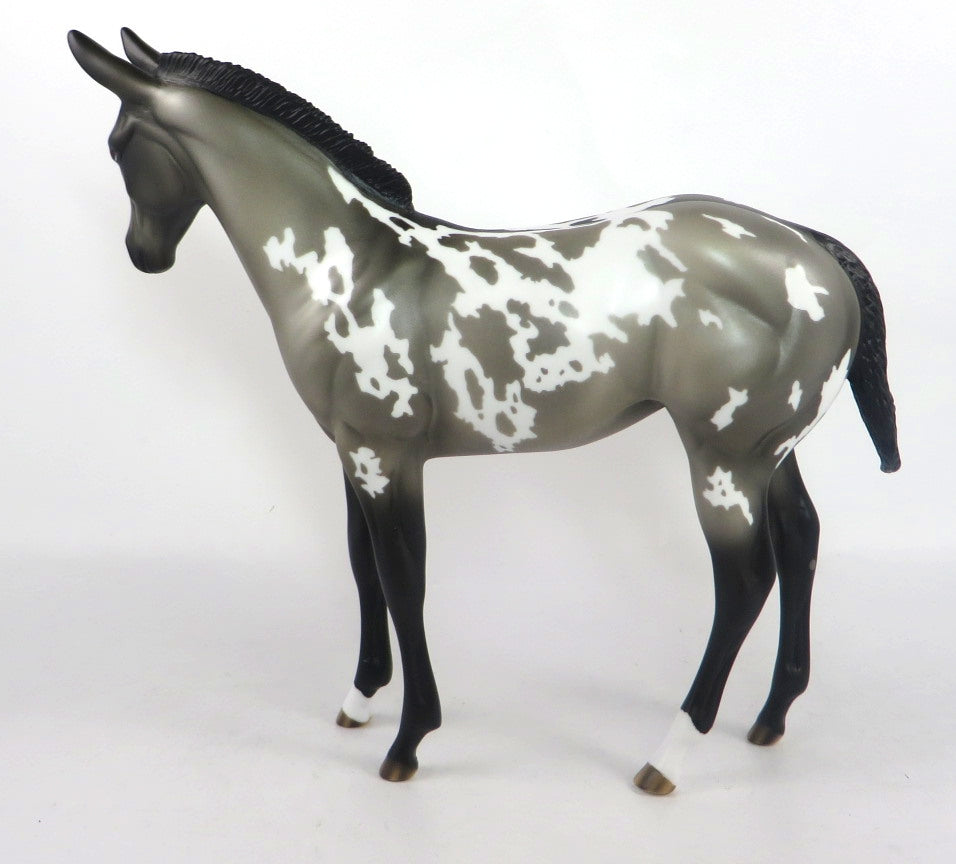 CHICO-OOAK GRULLA APPALOOSA WEANLING MULE MODEL HORSE 2/12/20