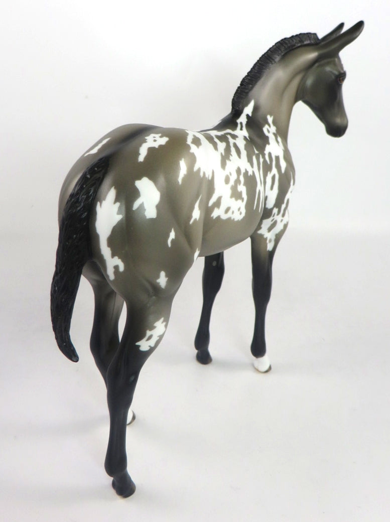 CHICO-OOAK GRULLA APPALOOSA WEANLING MULE MODEL HORSE 2/12/20