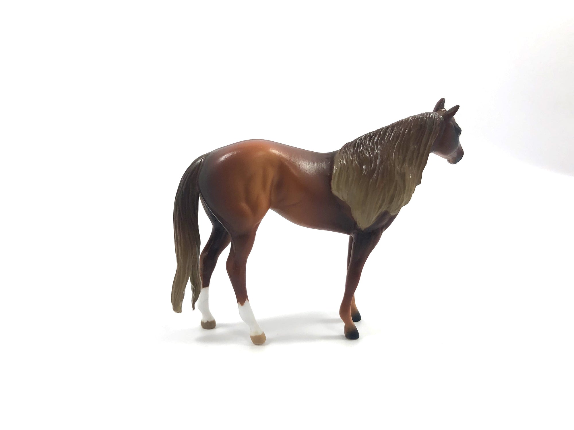 TATTERSALL -LE-15 CHESTNUT STOCK HORSE CHIP SHCF19