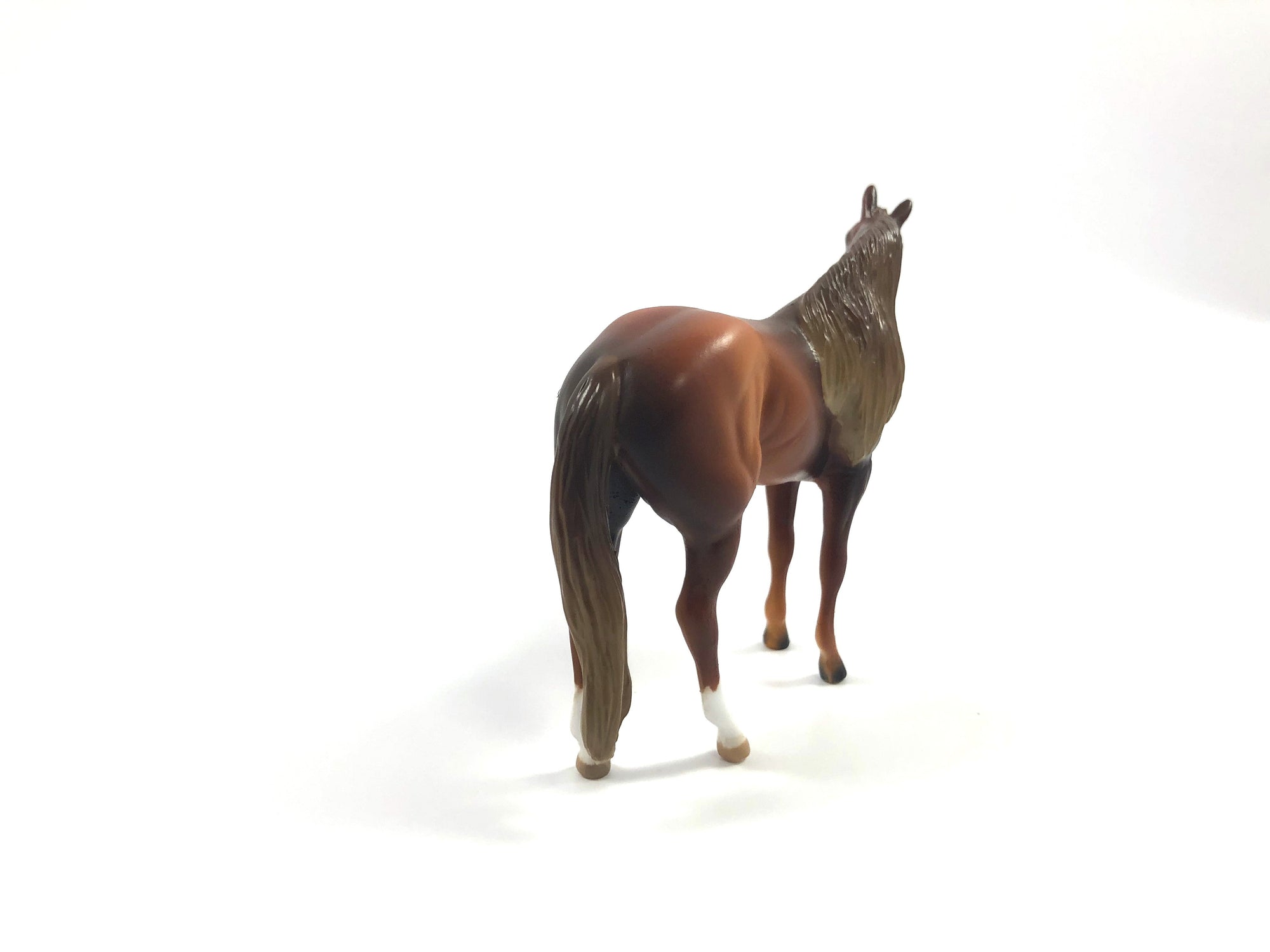 TATTERSALL -LE-15 CHESTNUT STOCK HORSE CHIP SHCF19