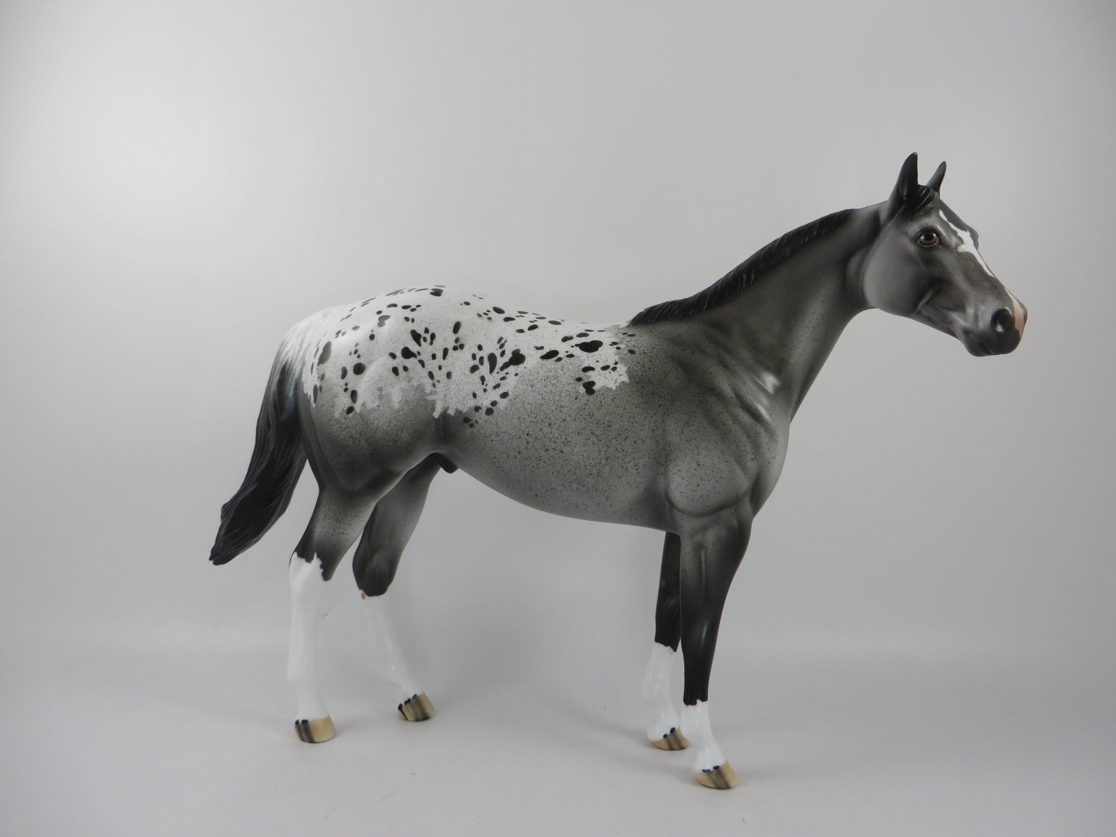 COOKIE CRUNCH - OOAK GREY APPALOOSA ISH BY DAWN QUICK PJ20