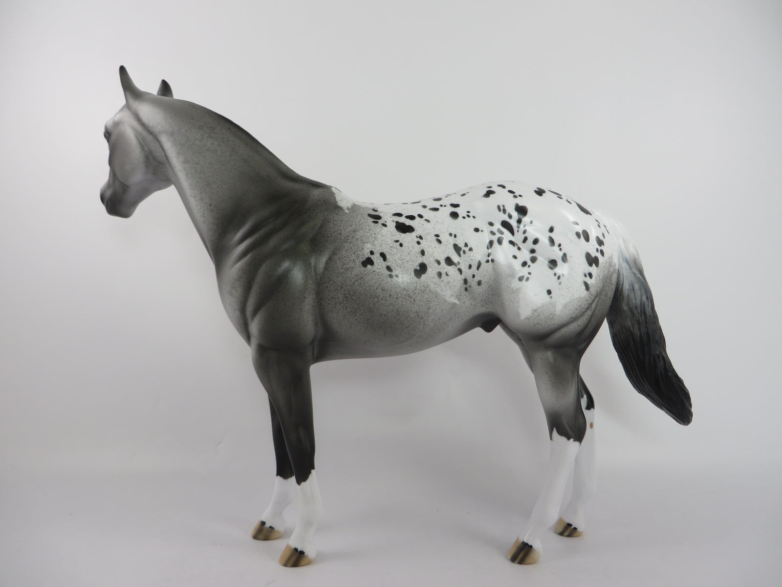 COOKIE CRUNCH - OOAK GREY APPALOOSA ISH BY DAWN QUICK PJ20