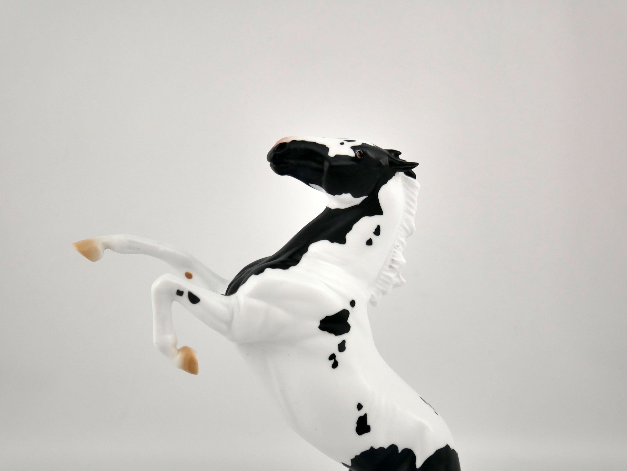 COOKIES AND MILK-OOAK BLACK TOBIANO REARING PEBBLES BY ELLEN ROBBINS 12/09/20