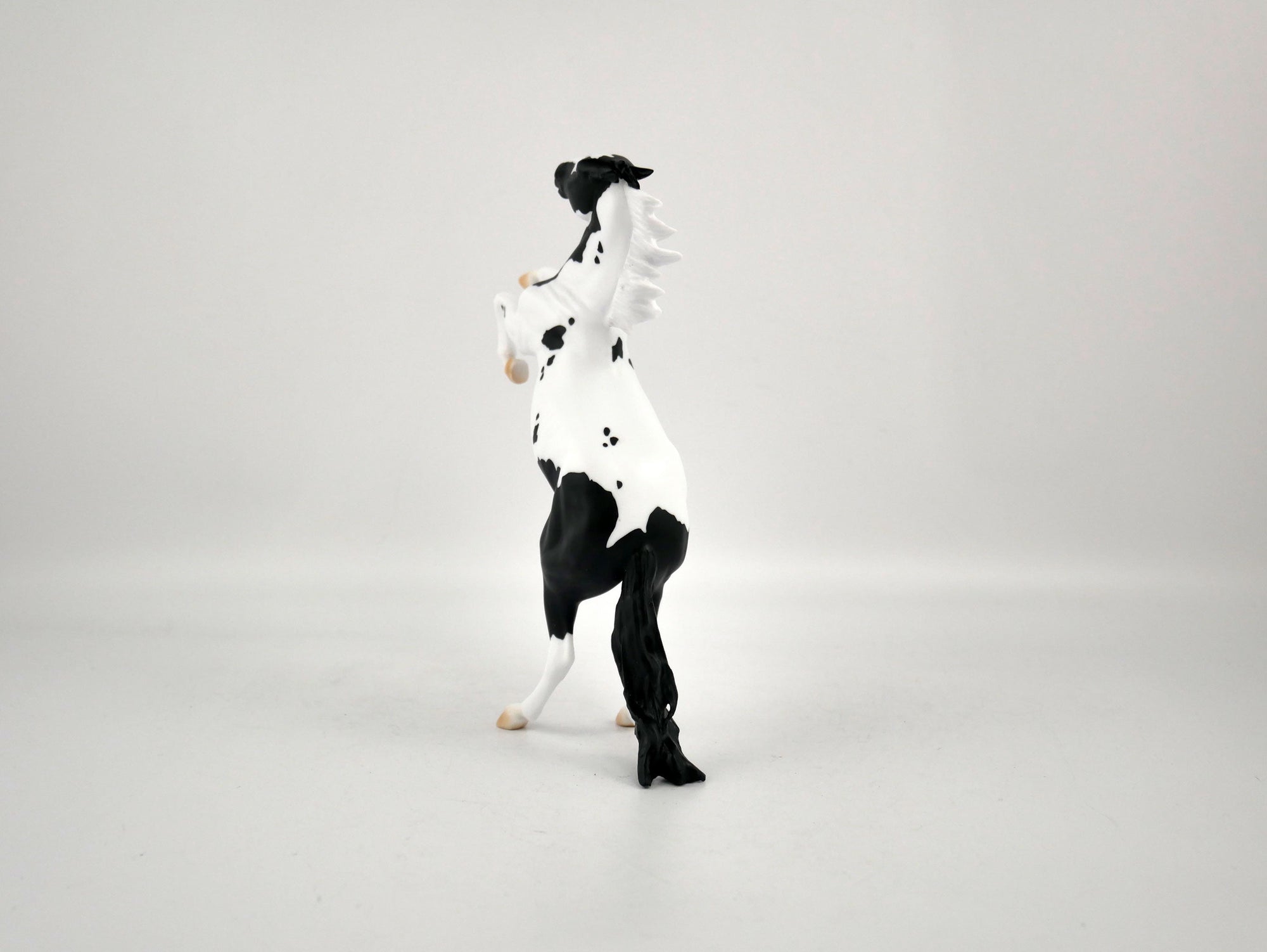 COOKIES AND MILK-OOAK BLACK TOBIANO REARING PEBBLES BY ELLEN ROBBINS 12/09/20