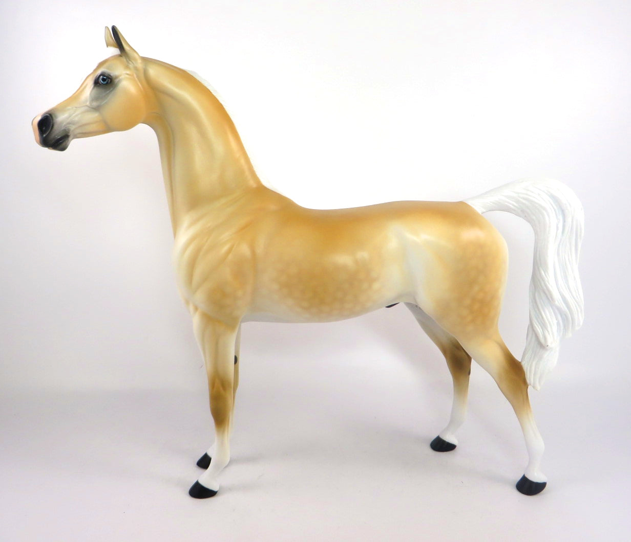 palomino