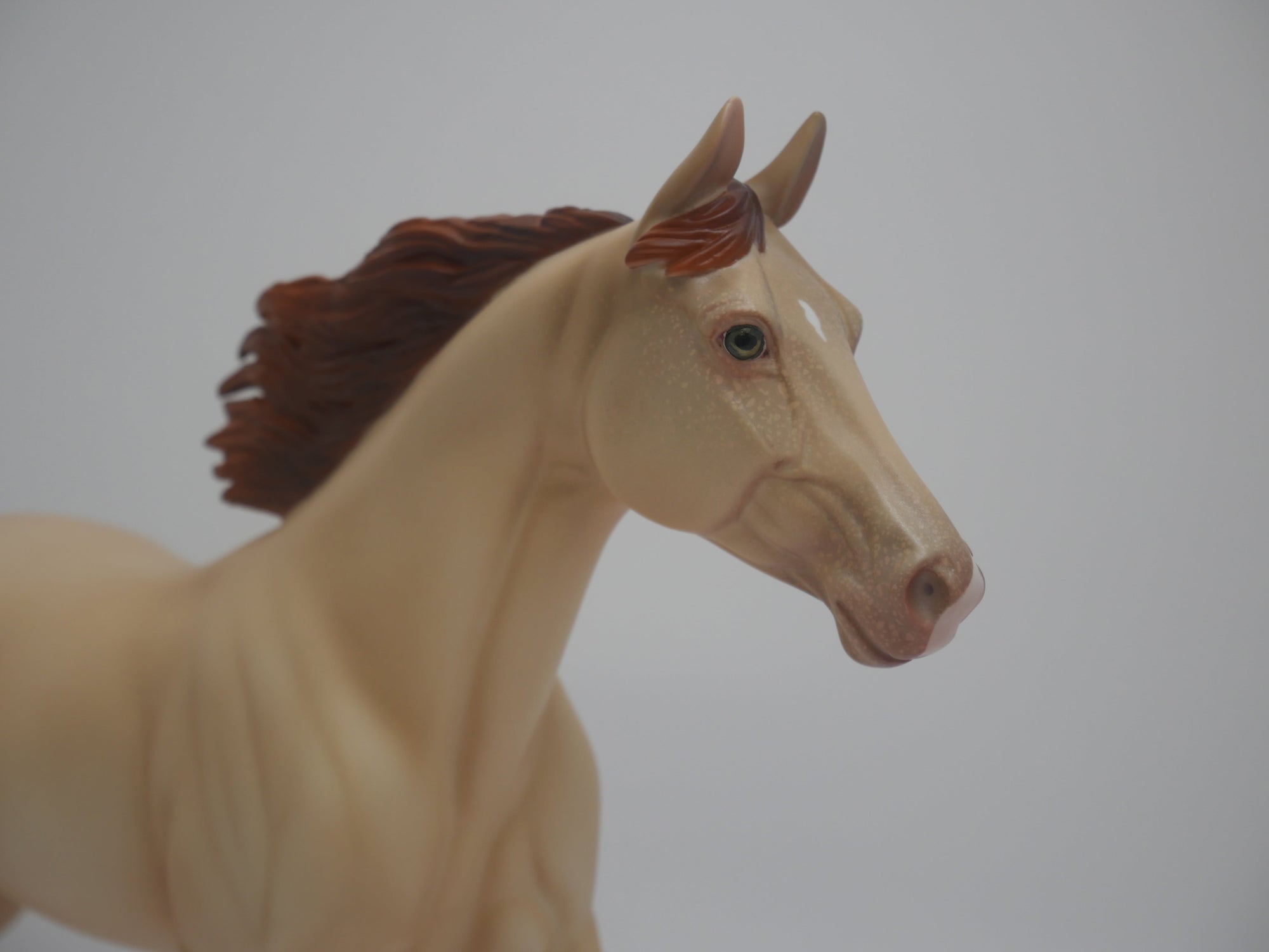 CORN HUSKER-LE-16 CUSTOM CHAMPAGNE PALOUSE 3/24/20