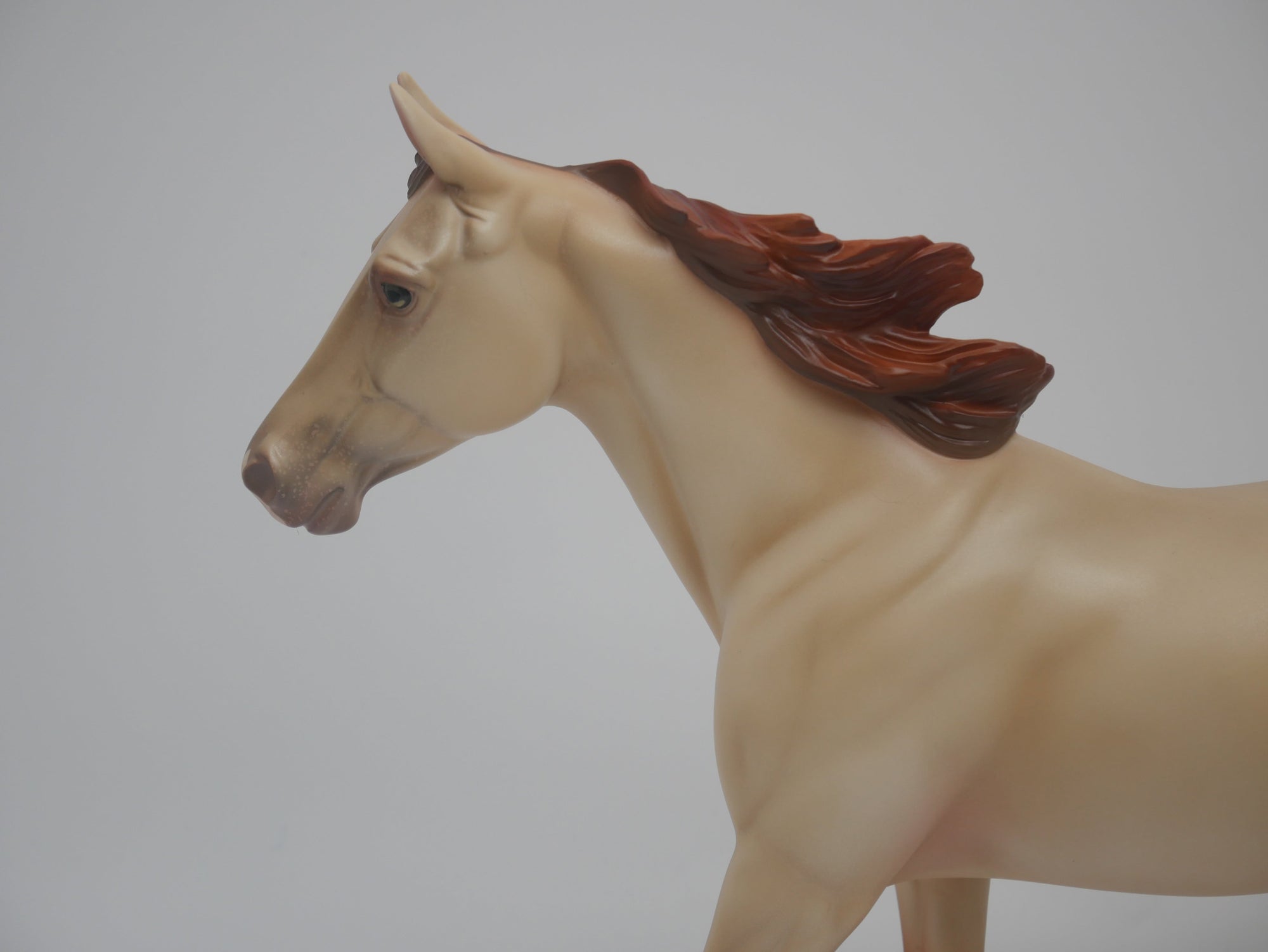 CORN HUSKER-LE-6 NON CUSTOM CHAMPAGNE PALOUSE 3/24/20