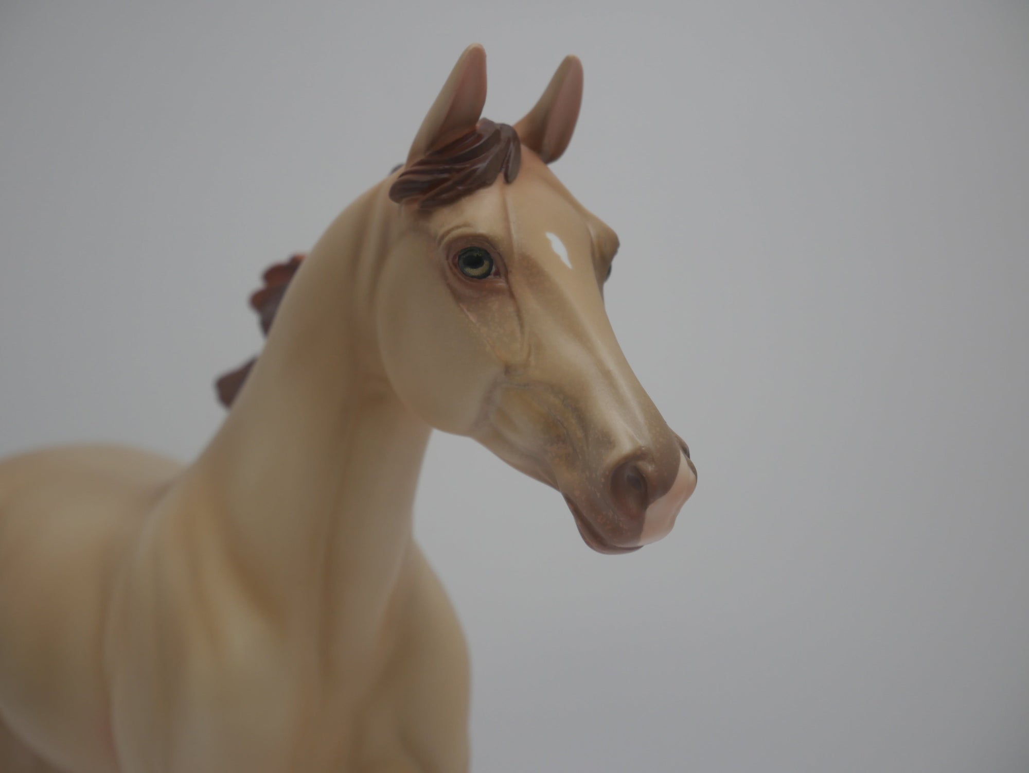 CORN HUSKER-LE-6 NON CUSTOM CHAMPAGNE PALOUSE 3/24/20