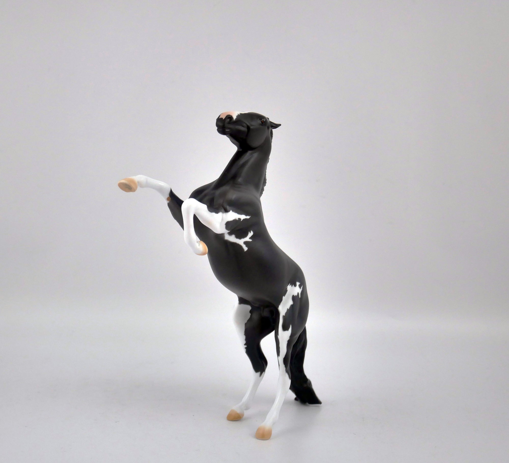 DAVEY GREY-OOAK REARING PEBBLES BY DAWN QUICK