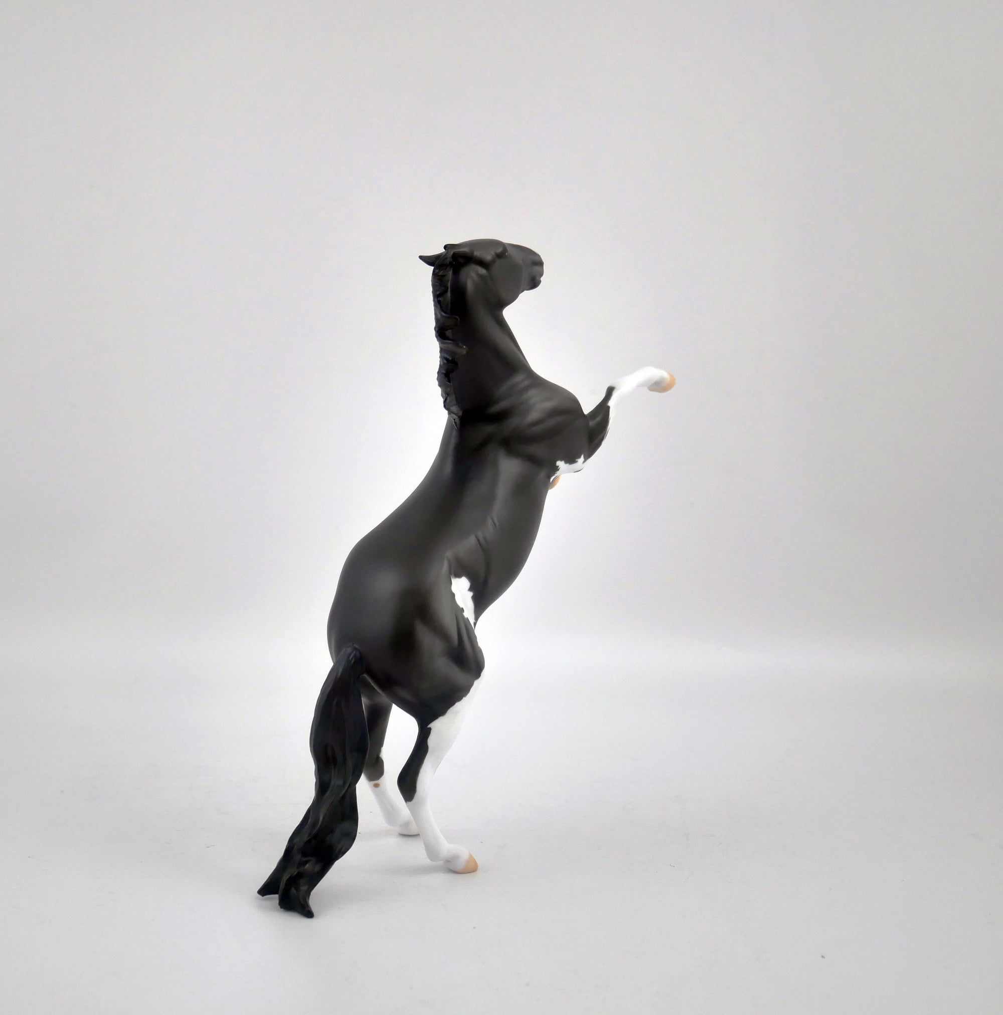 DAVEY GREY-OOAK REARING PEBBLES BY DAWN QUICK