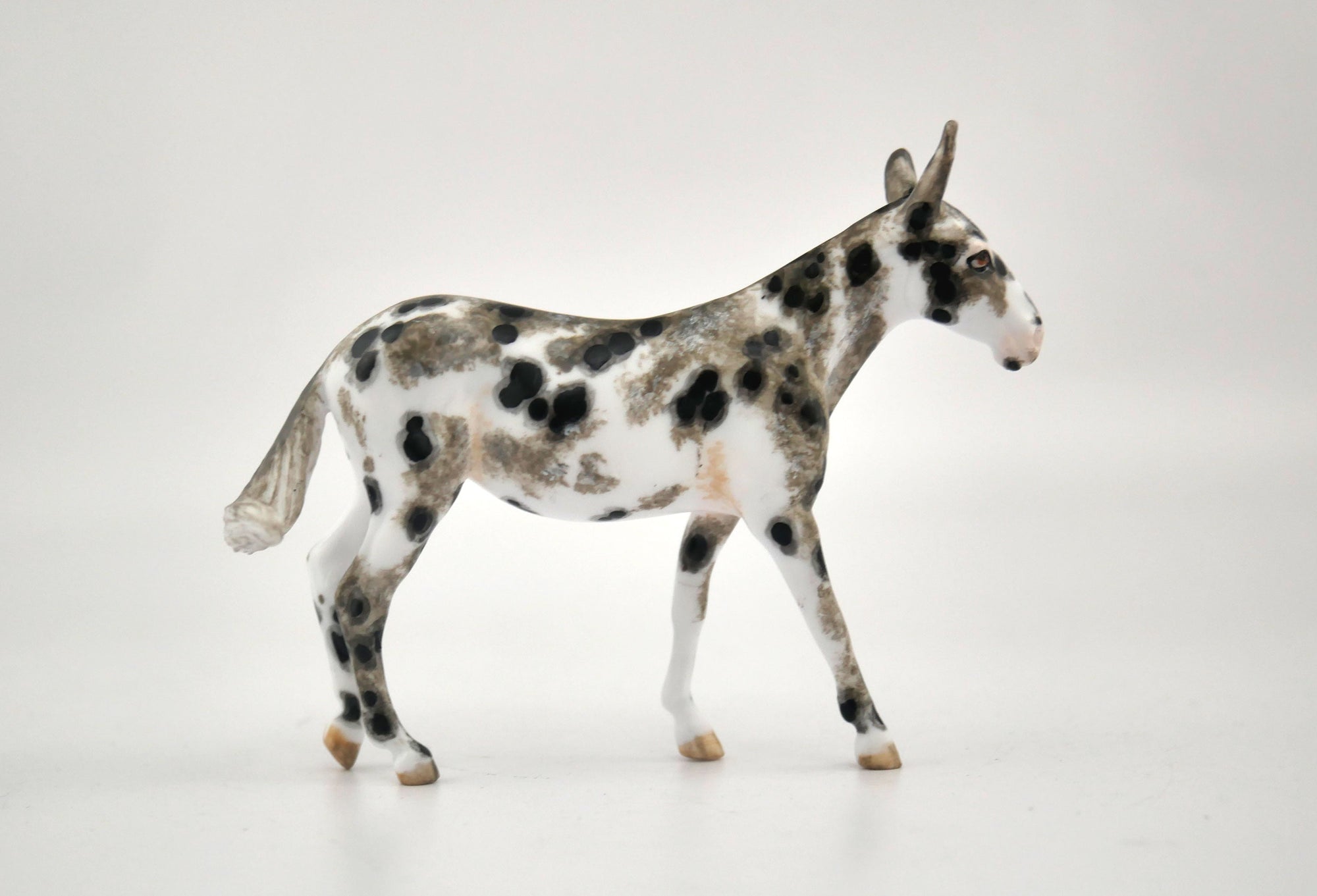 Dolbee-OOAK Mule Appaloosa Chip By Andrea MM 2020
